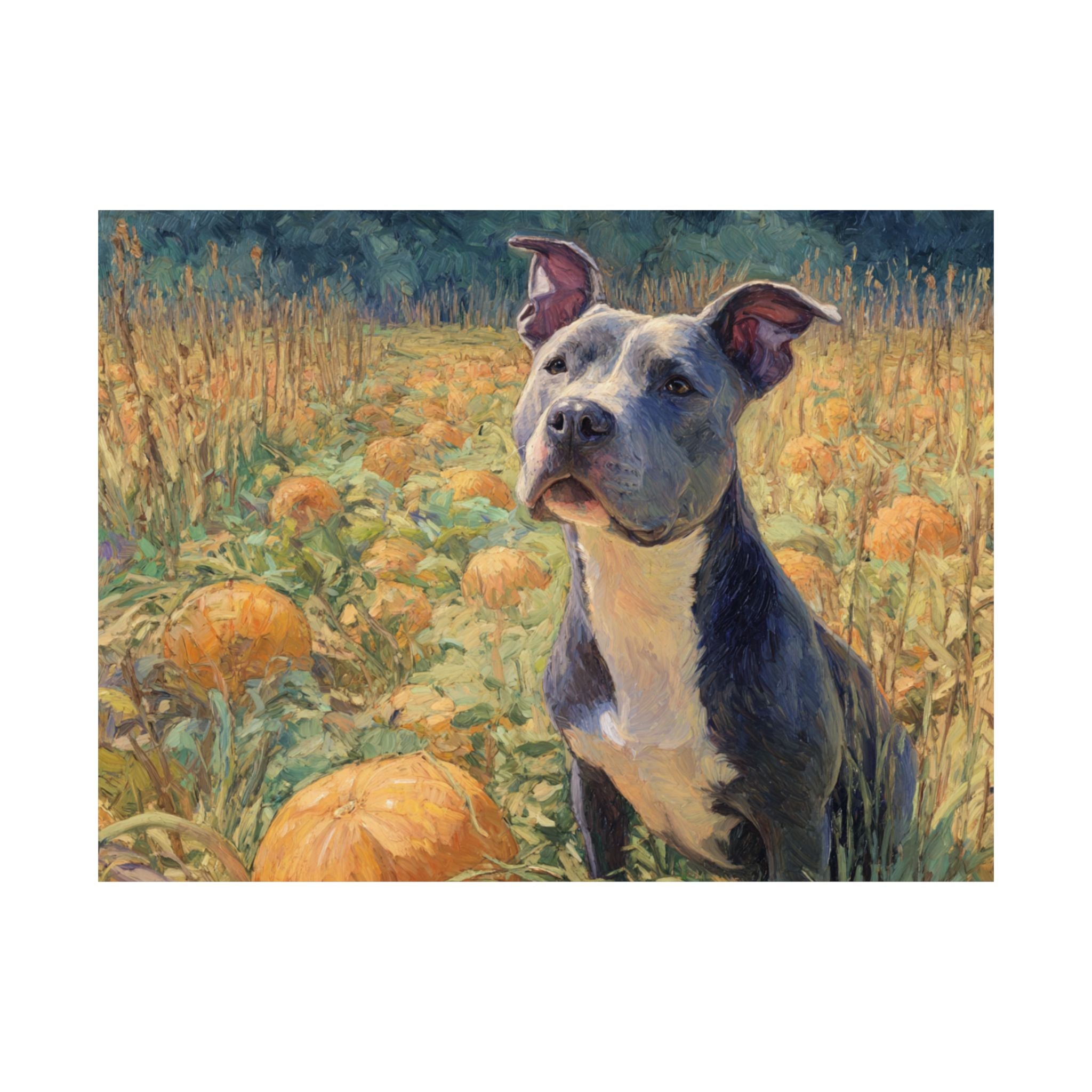Pit Bull 4- Pumpkin Patch Collection