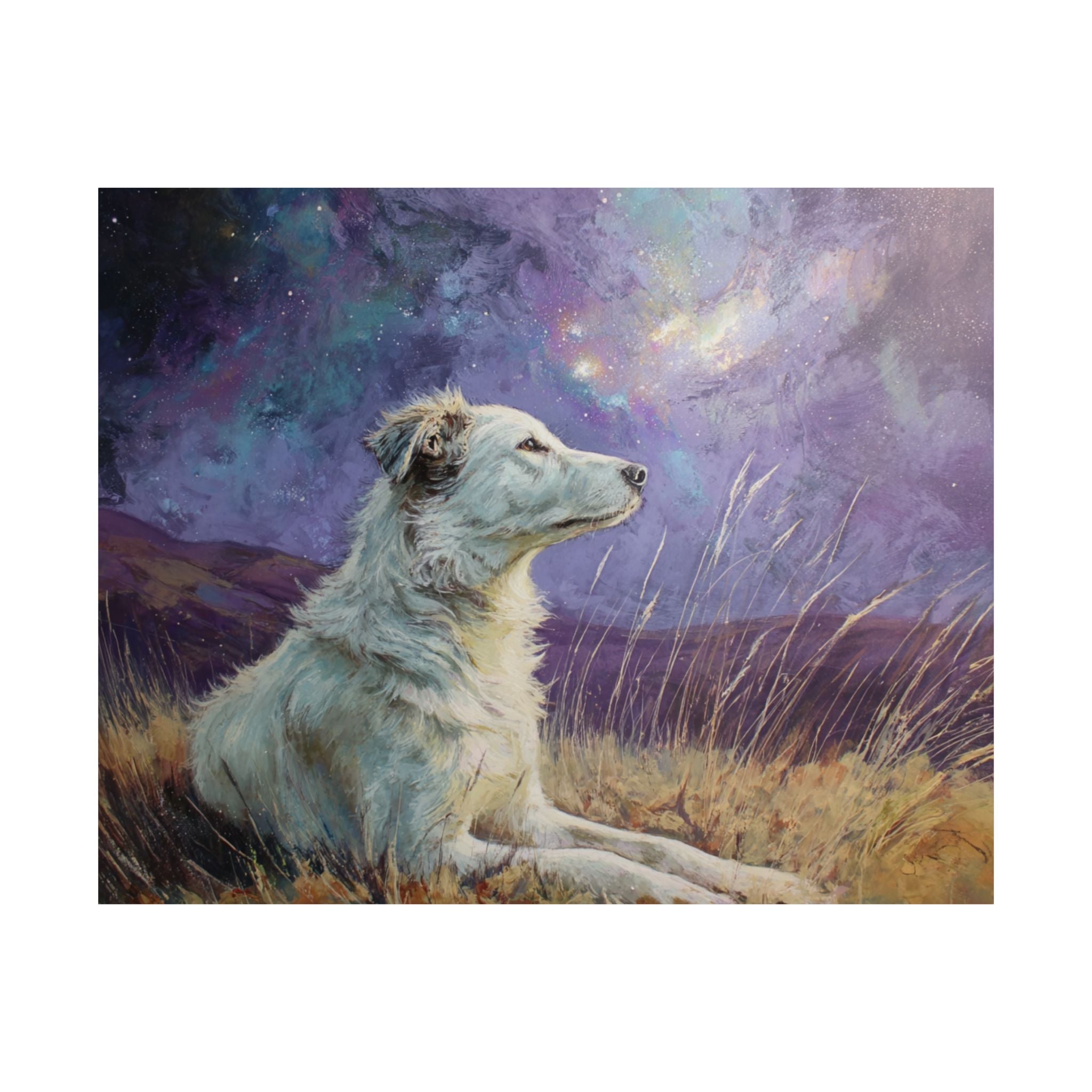 Rottweiler 1- Dreamy Companions Collection