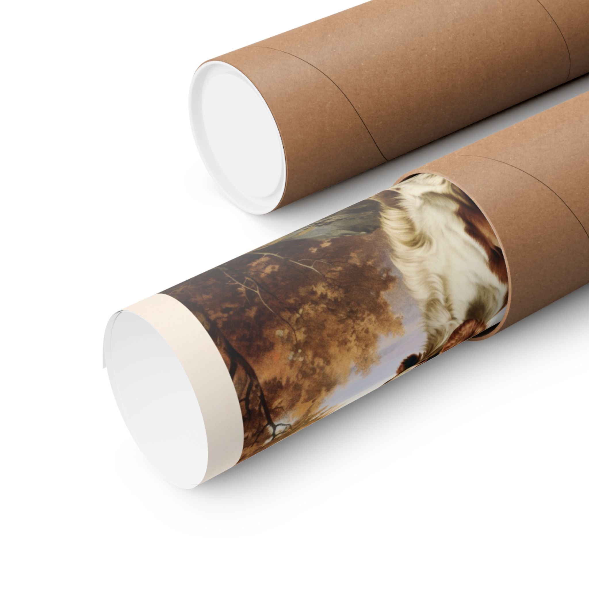 Britany Spaniel 4- CFA Edition