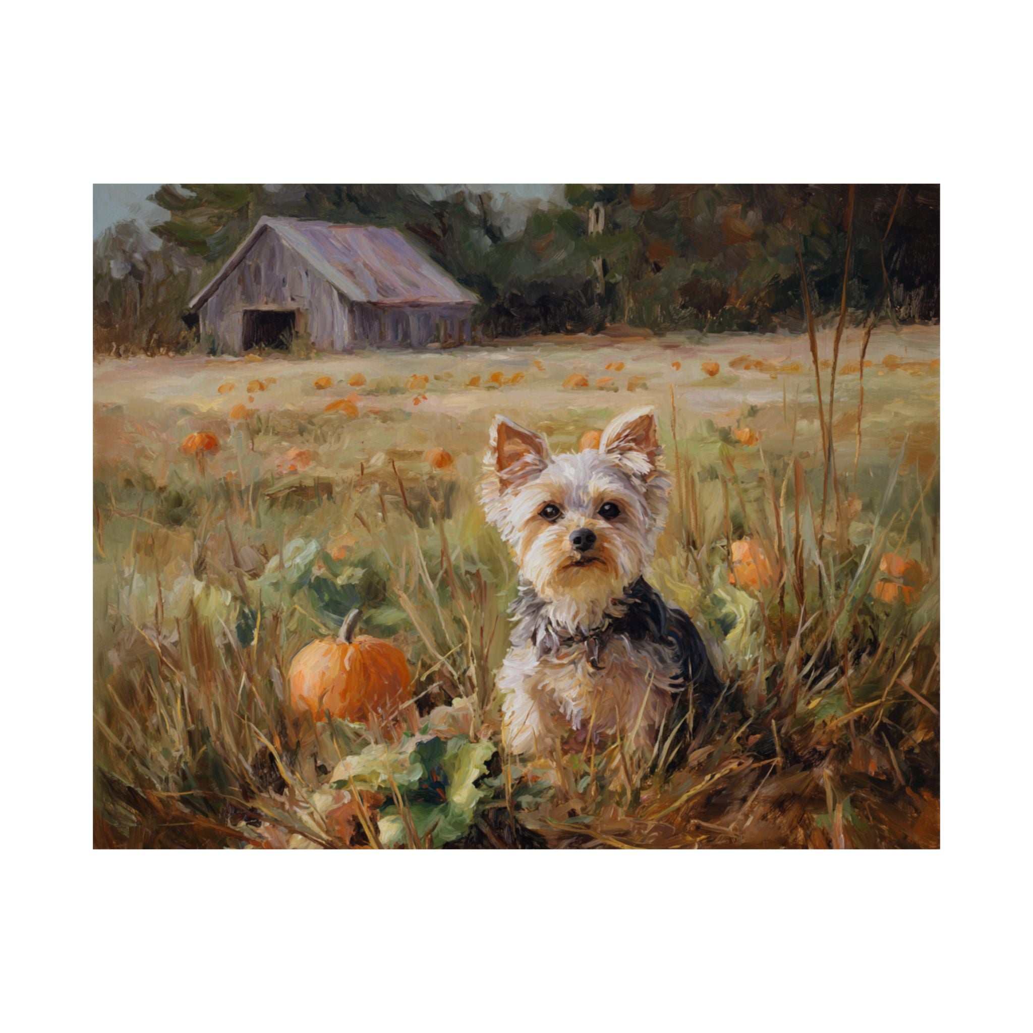 Yorkshire Terrier 6- Pumpkin Patch Collection