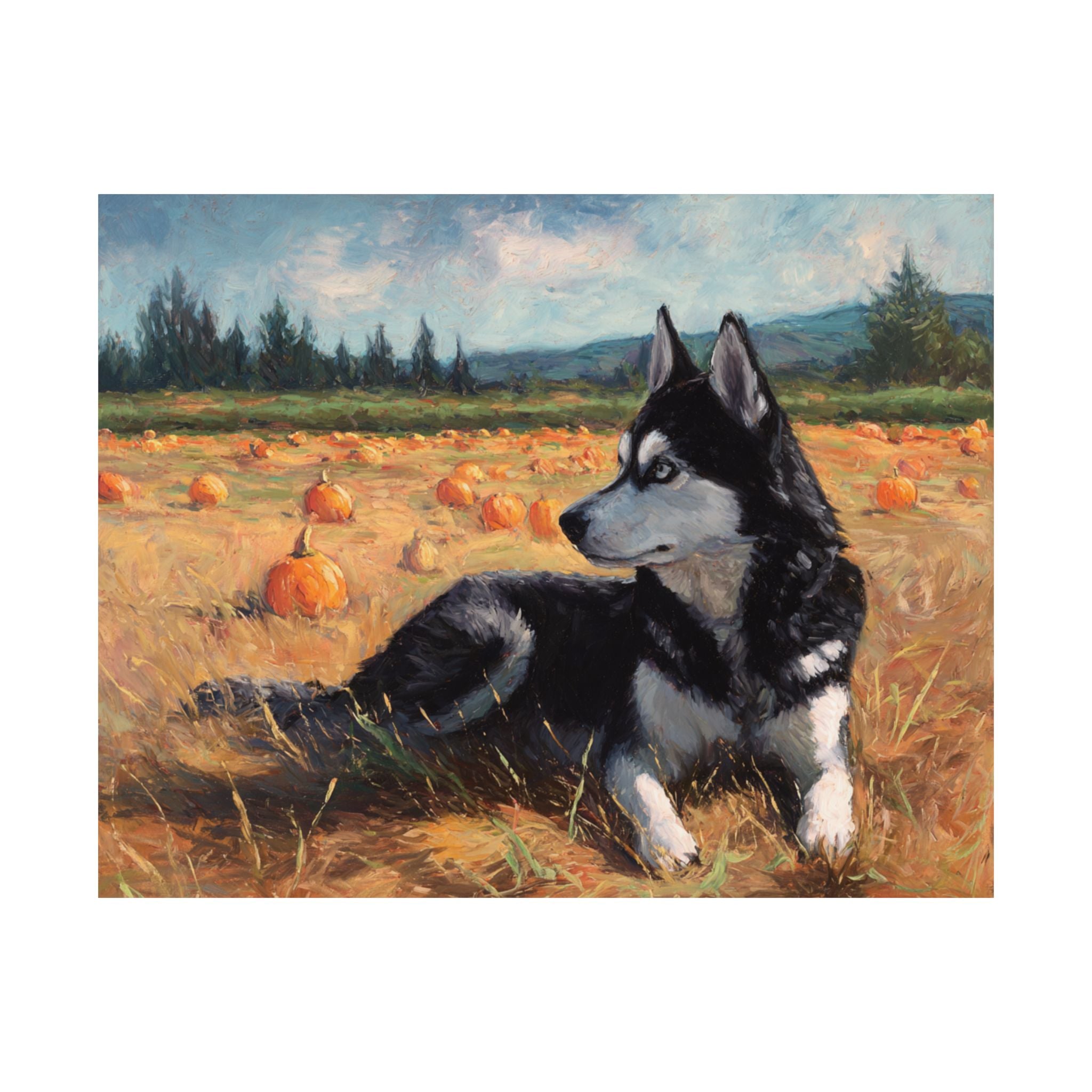Husky 1- Pumpkin Patch Collection