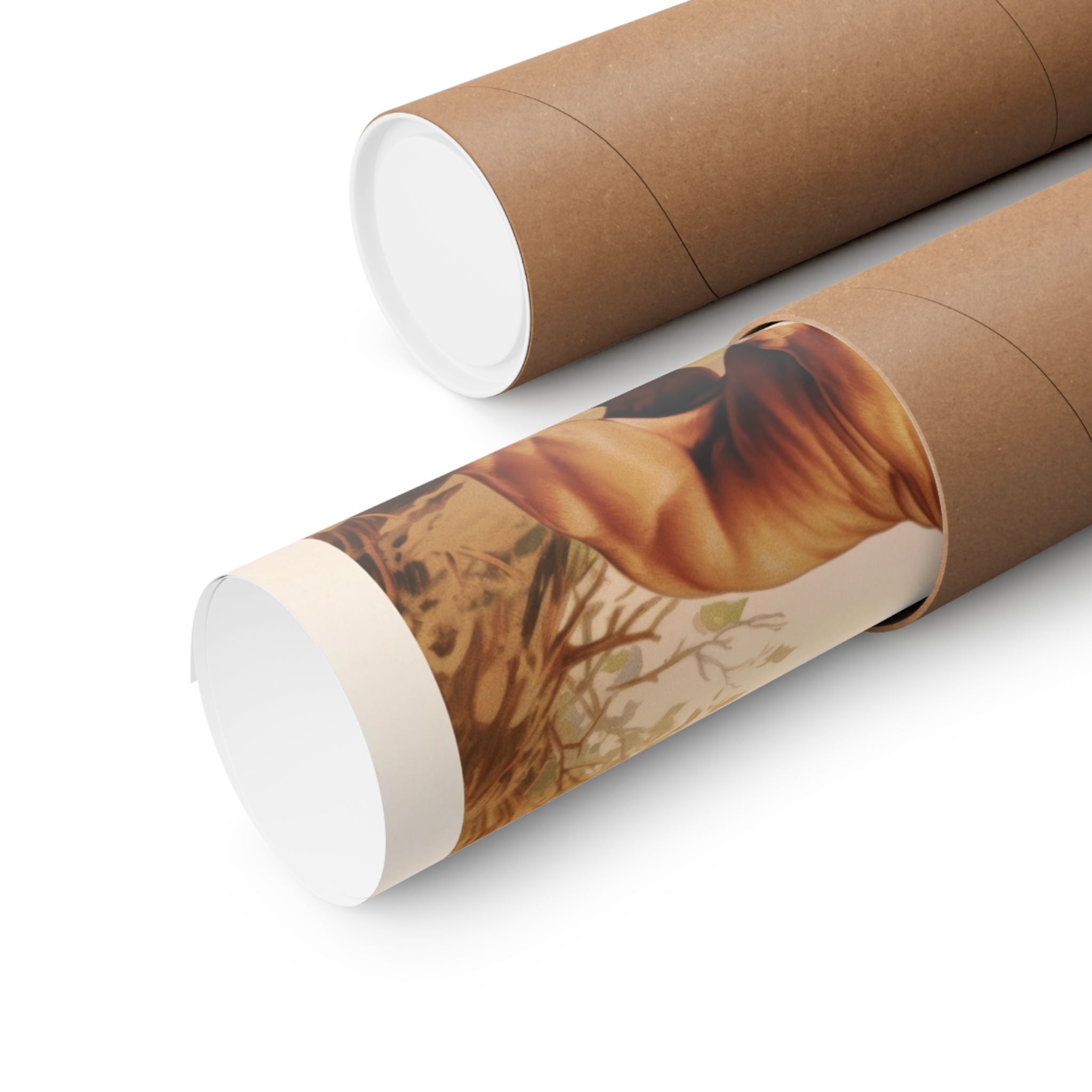 Pit Bull 2- CFA Edition