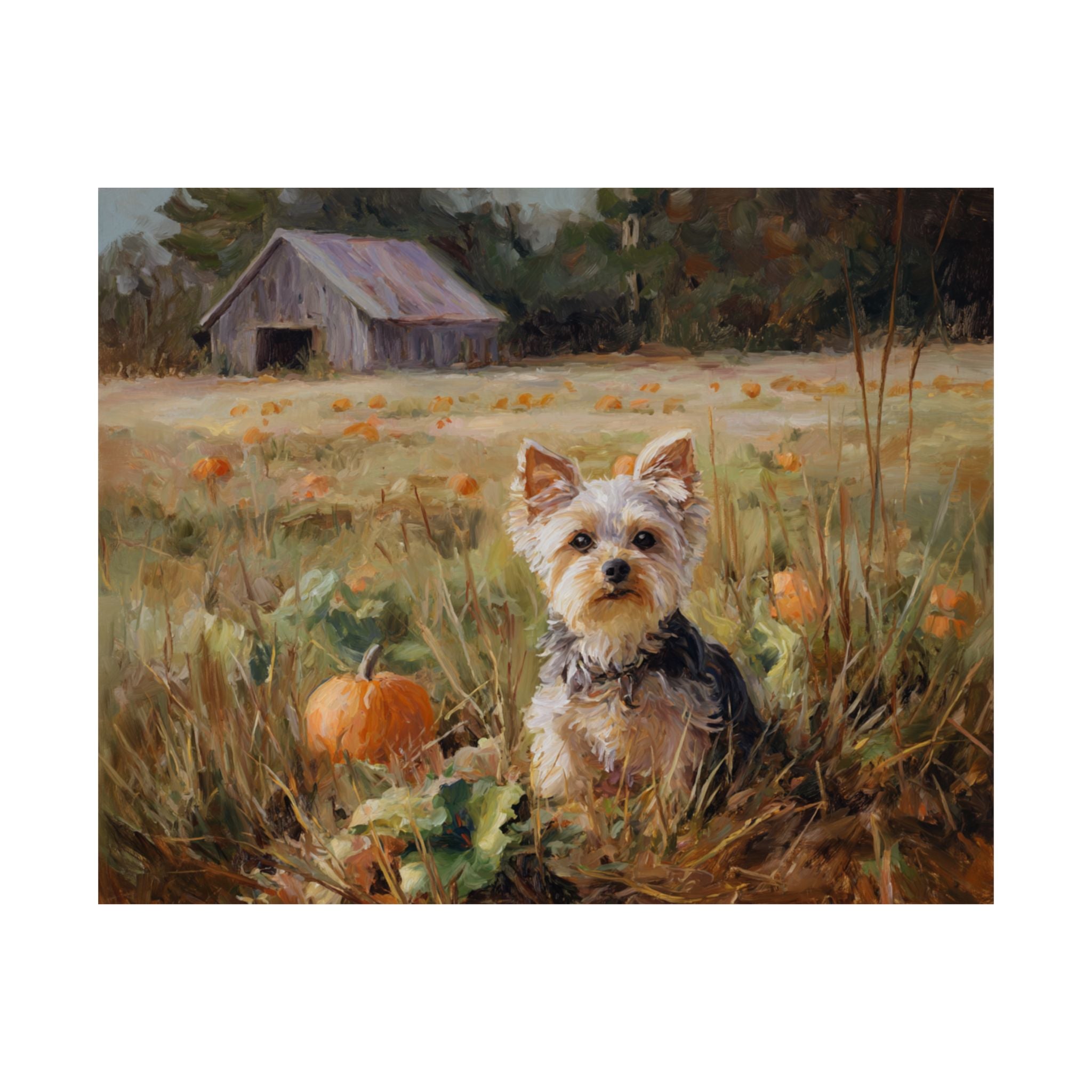 Yorkshire Terrier 6- Pumpkin Patch Collection