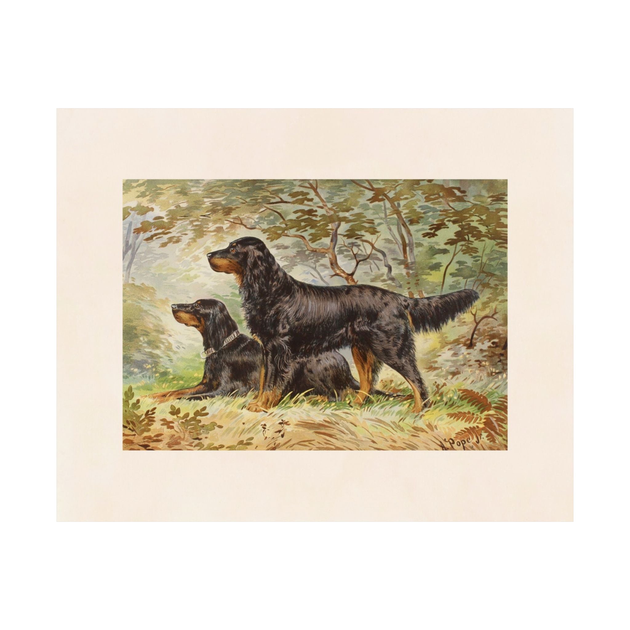Black & Tan Setters- Pope Collection