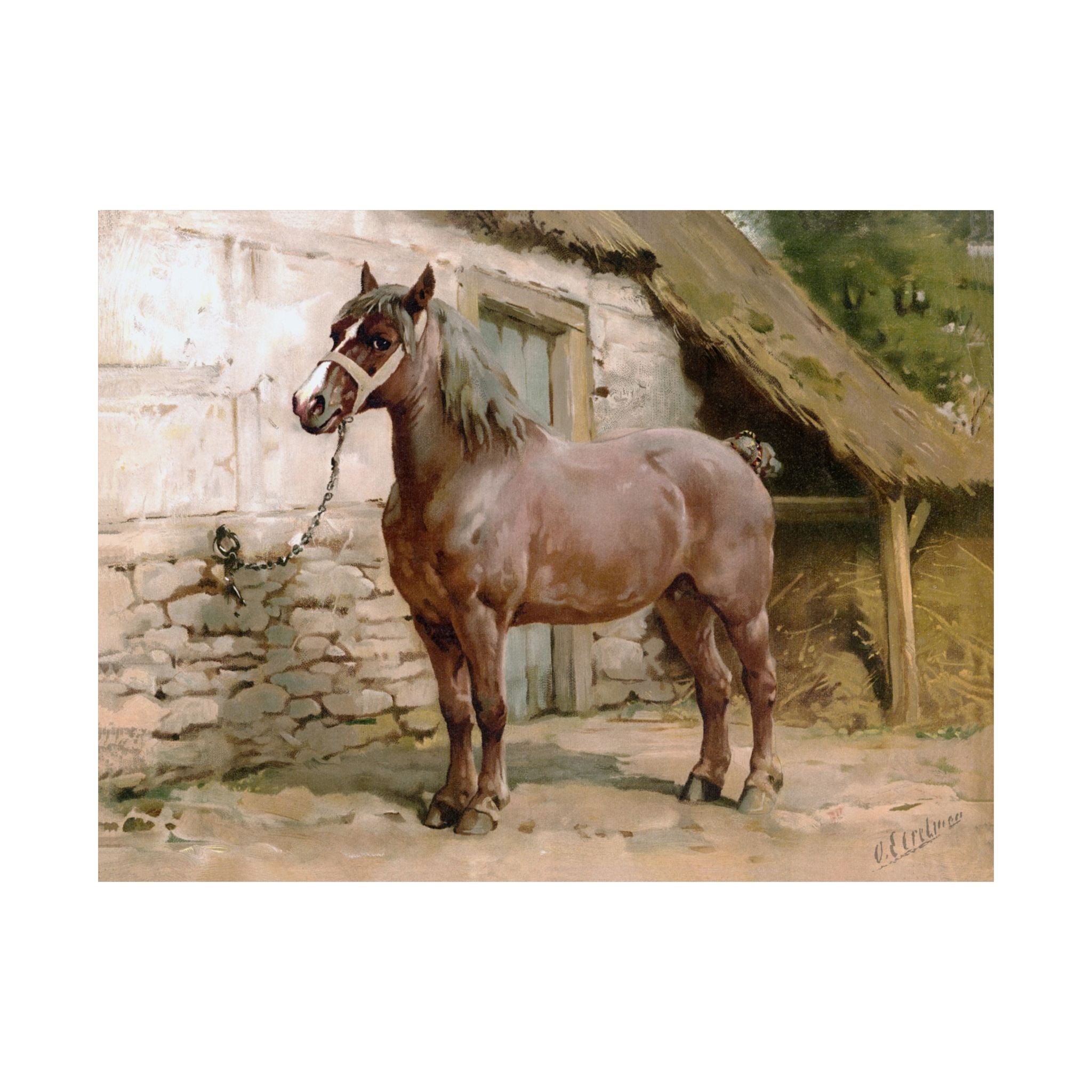 Ardenner Horse- Eerelman Collection