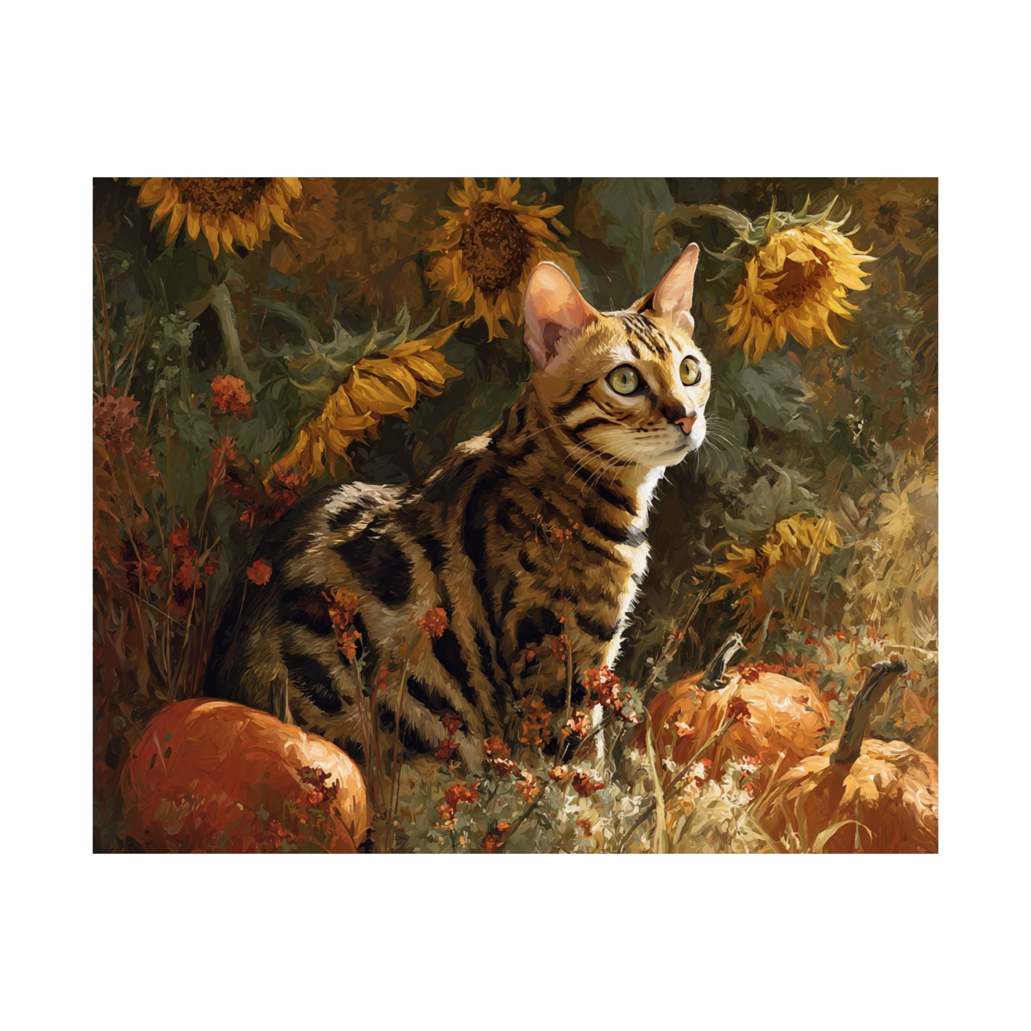 Bengal 2- Sunflower Season Collection