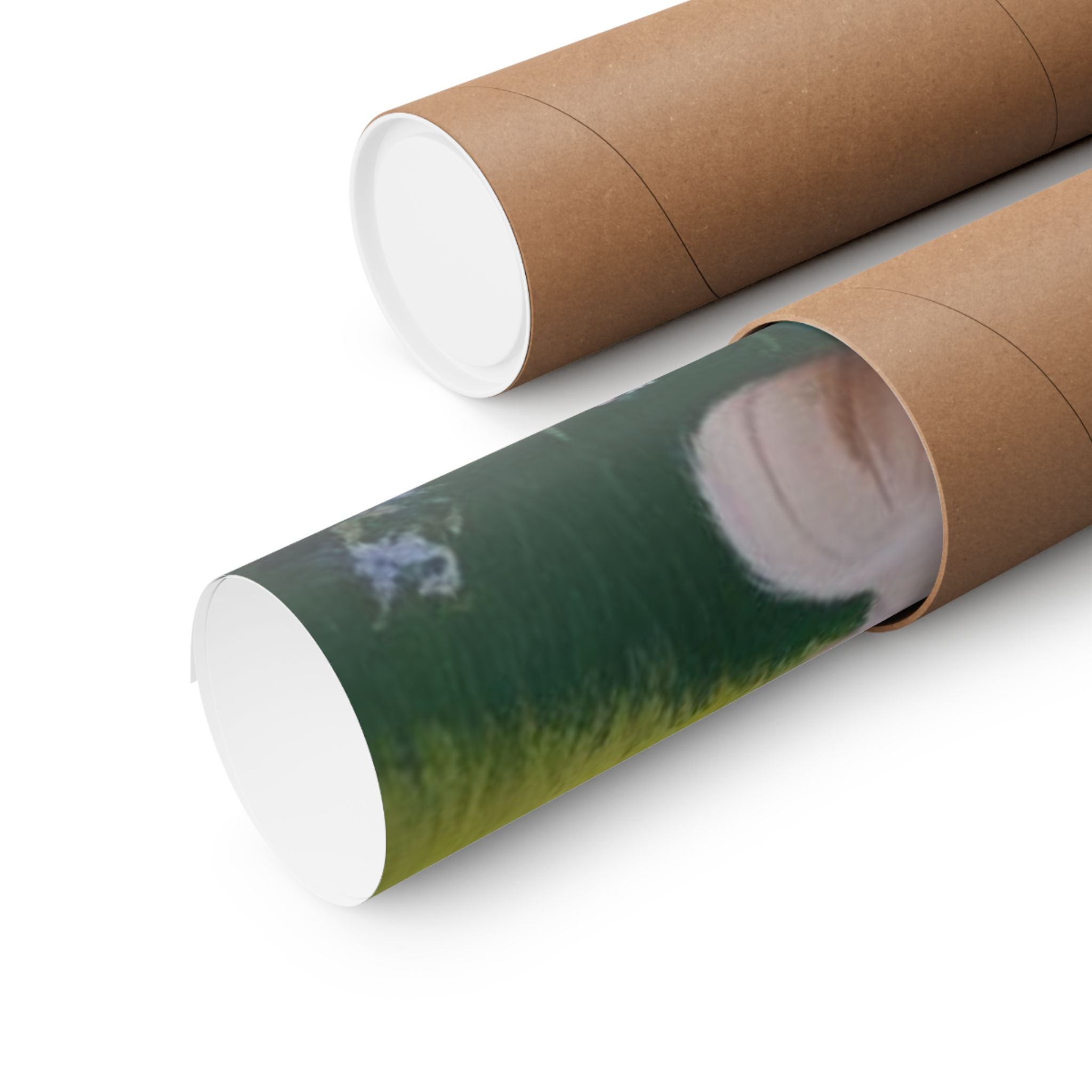 Turkish Angora Cat- Garden Collection