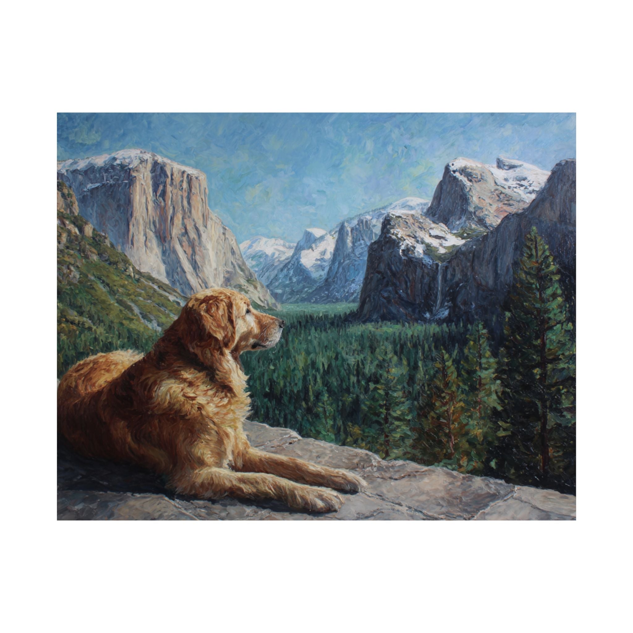 Golden Retriever 2- Adventure Paws Collection