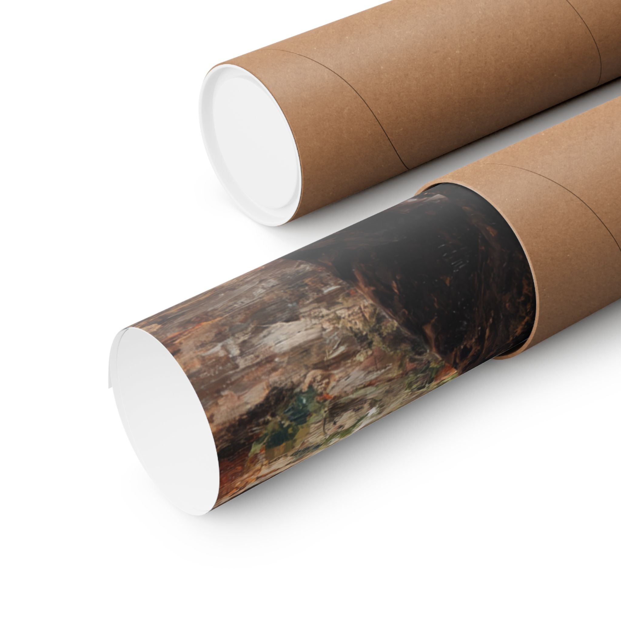 Boxer 4- Pumpkin Patch Collection