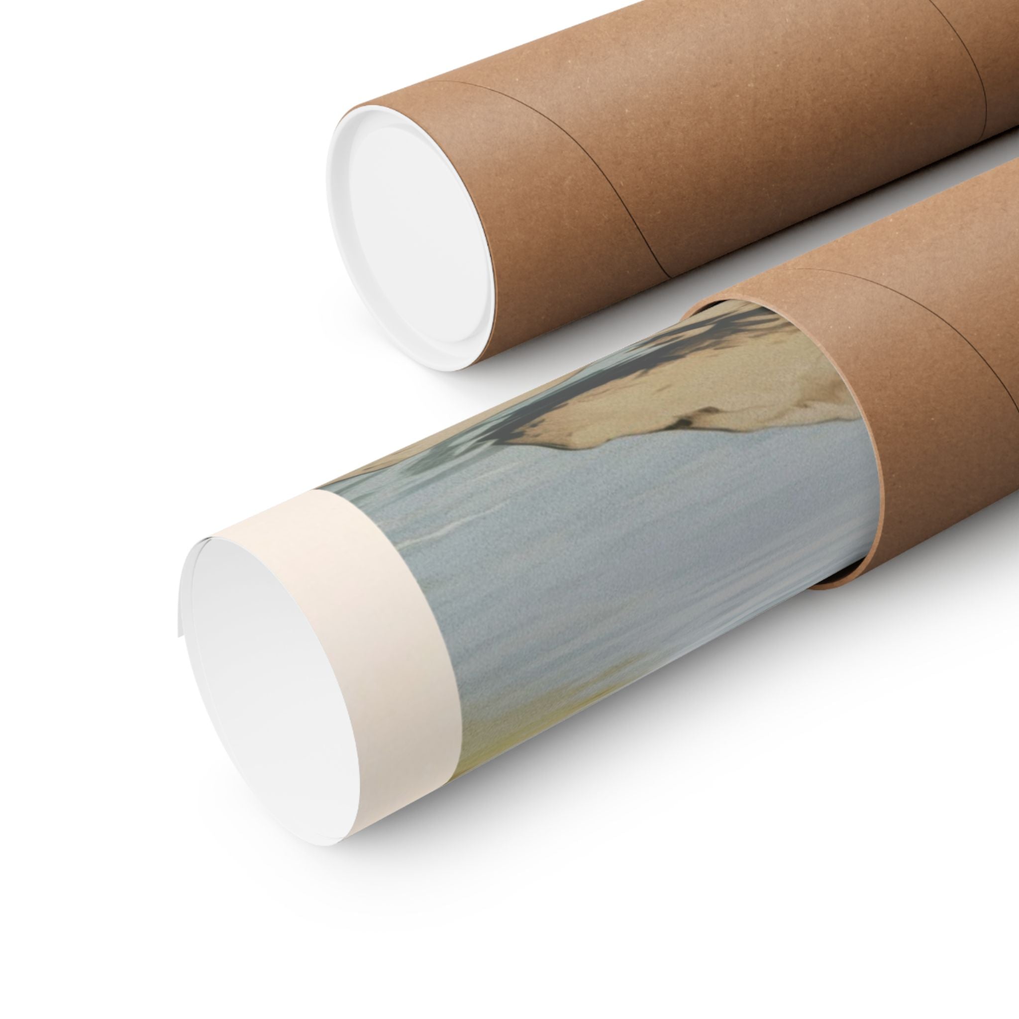 American Bully Dog 2- CFA Edition