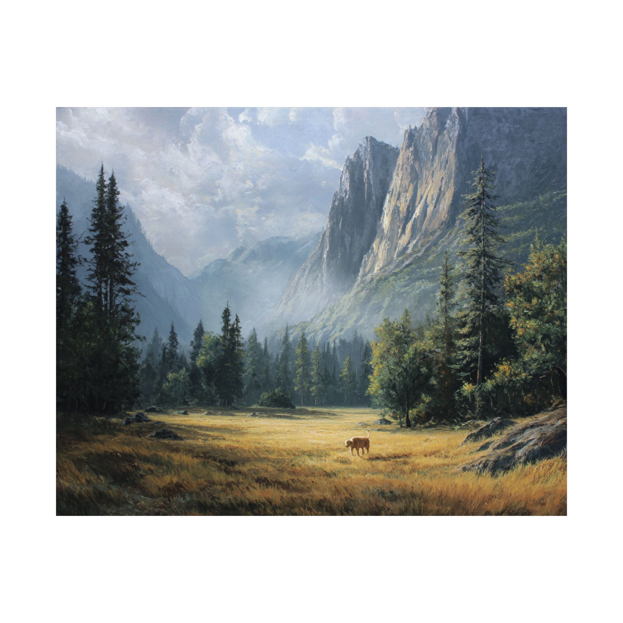 Golden Retriever 3- Adventure Paws Collection