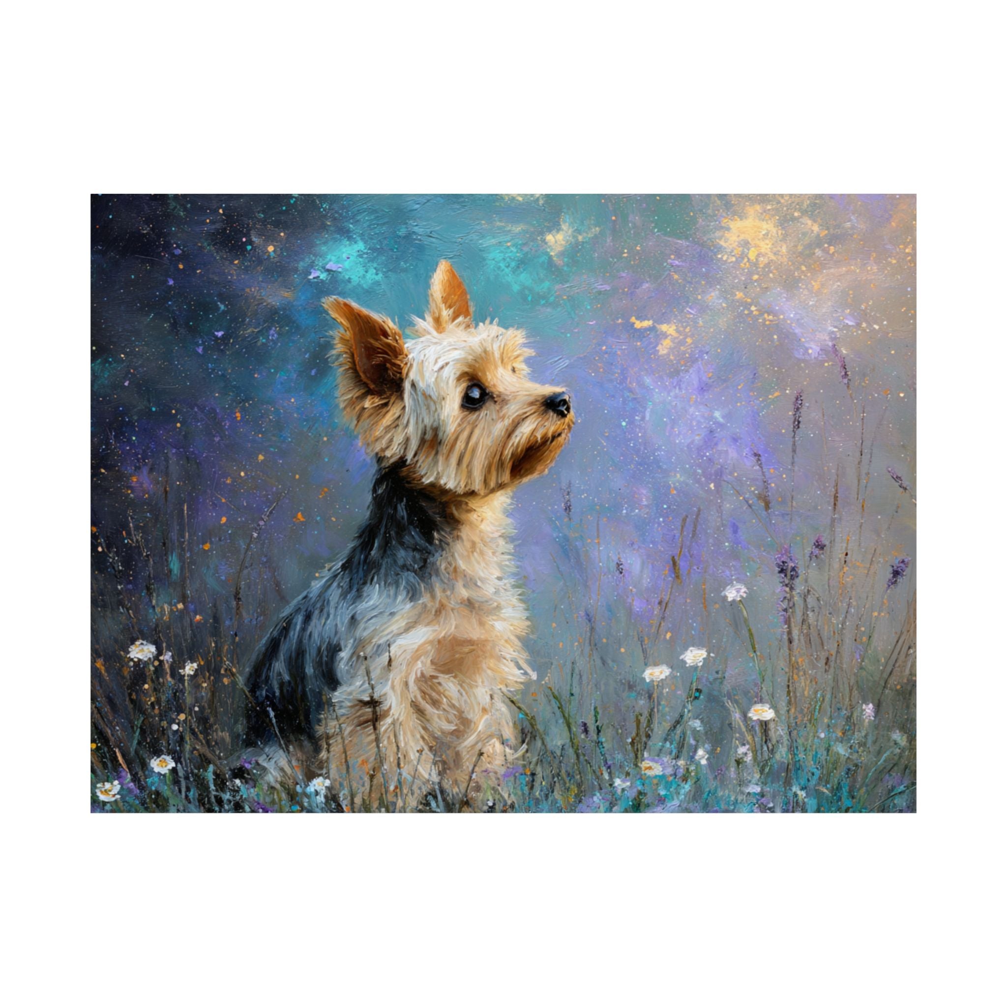 Yorkshire Terrier 3- Dreamy Companions Collection