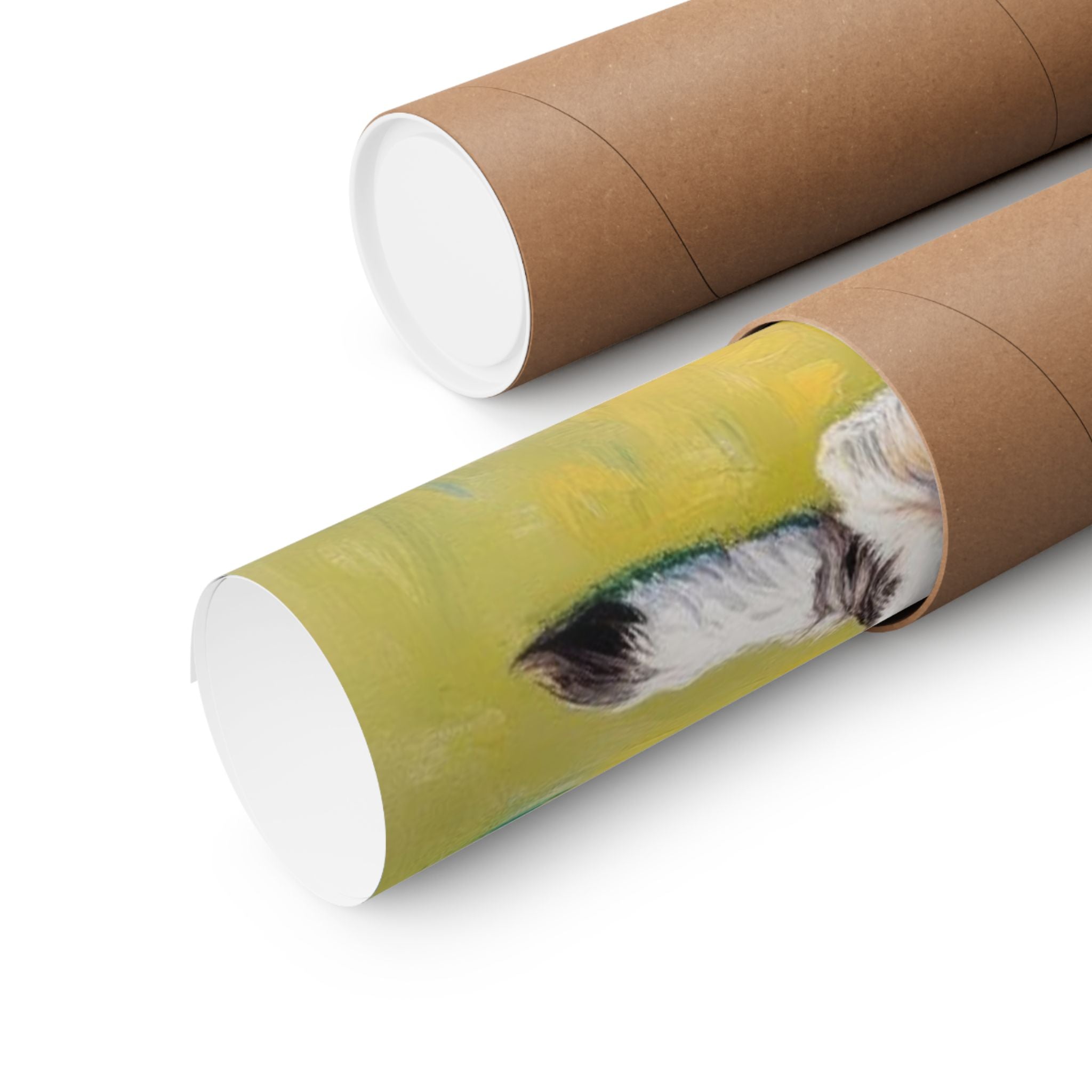 Aussiedoodle 1- Garden Collection