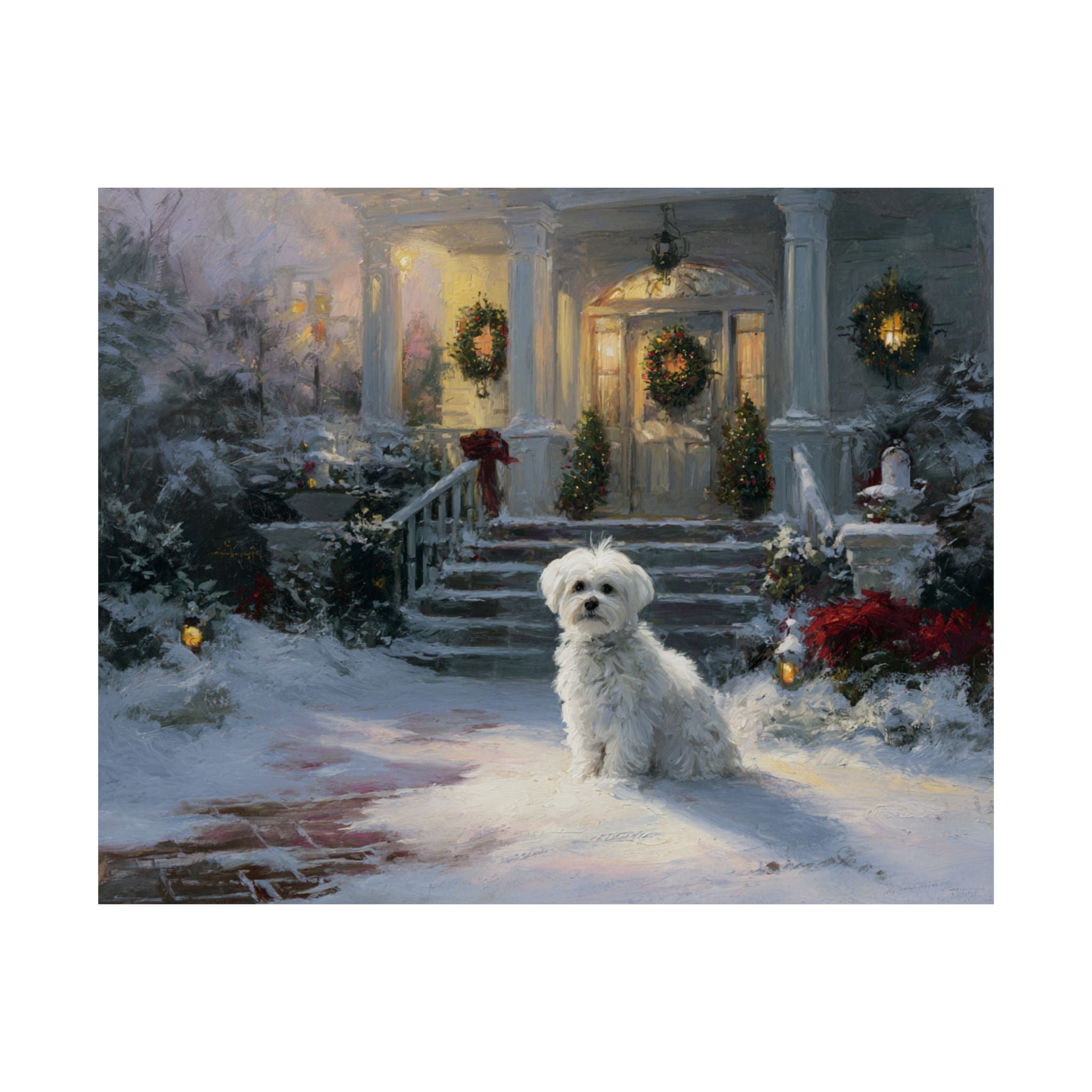 Maltese 3- Home for the Holidays Collection