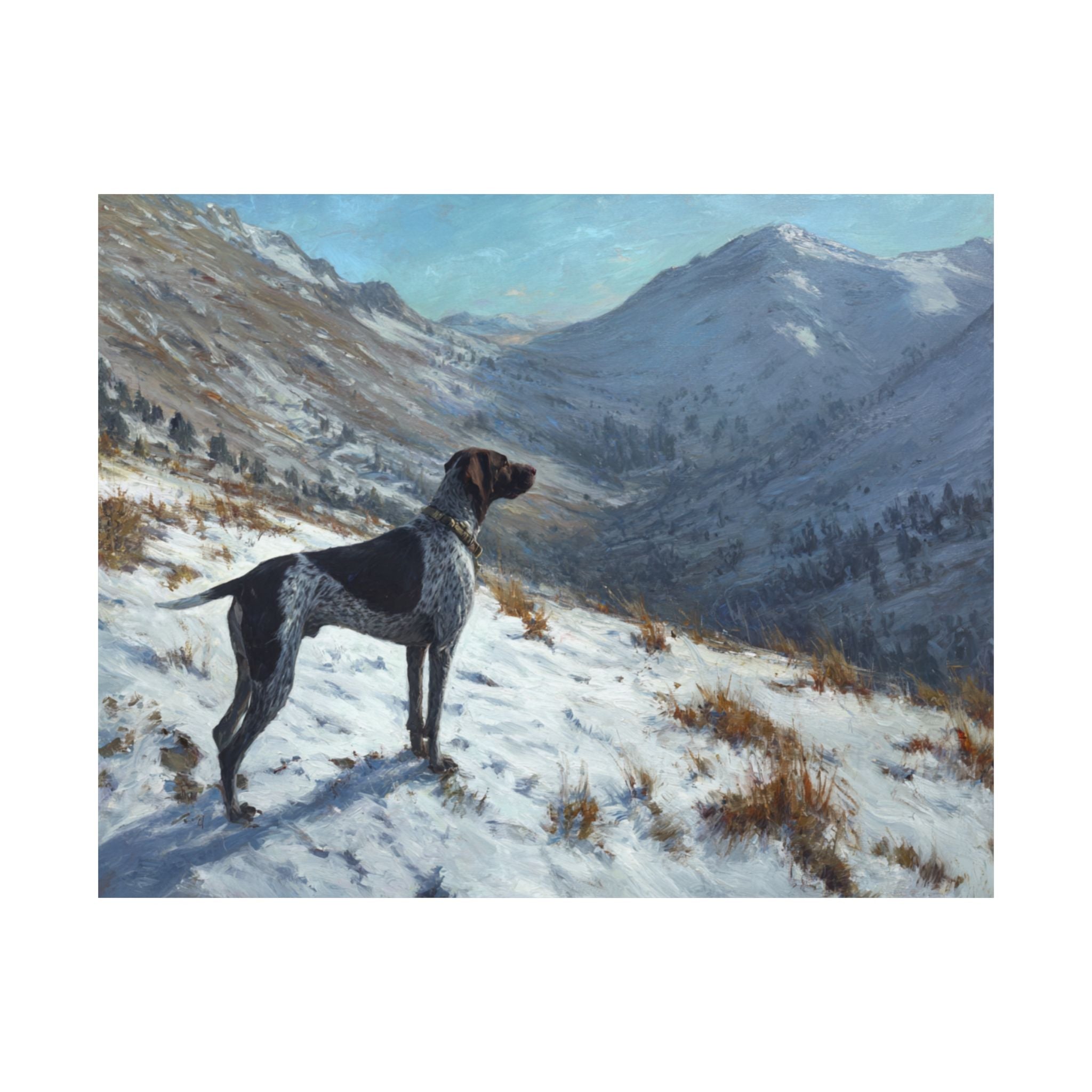 German Short Haired Pointer 4- Adventure Paws Collection