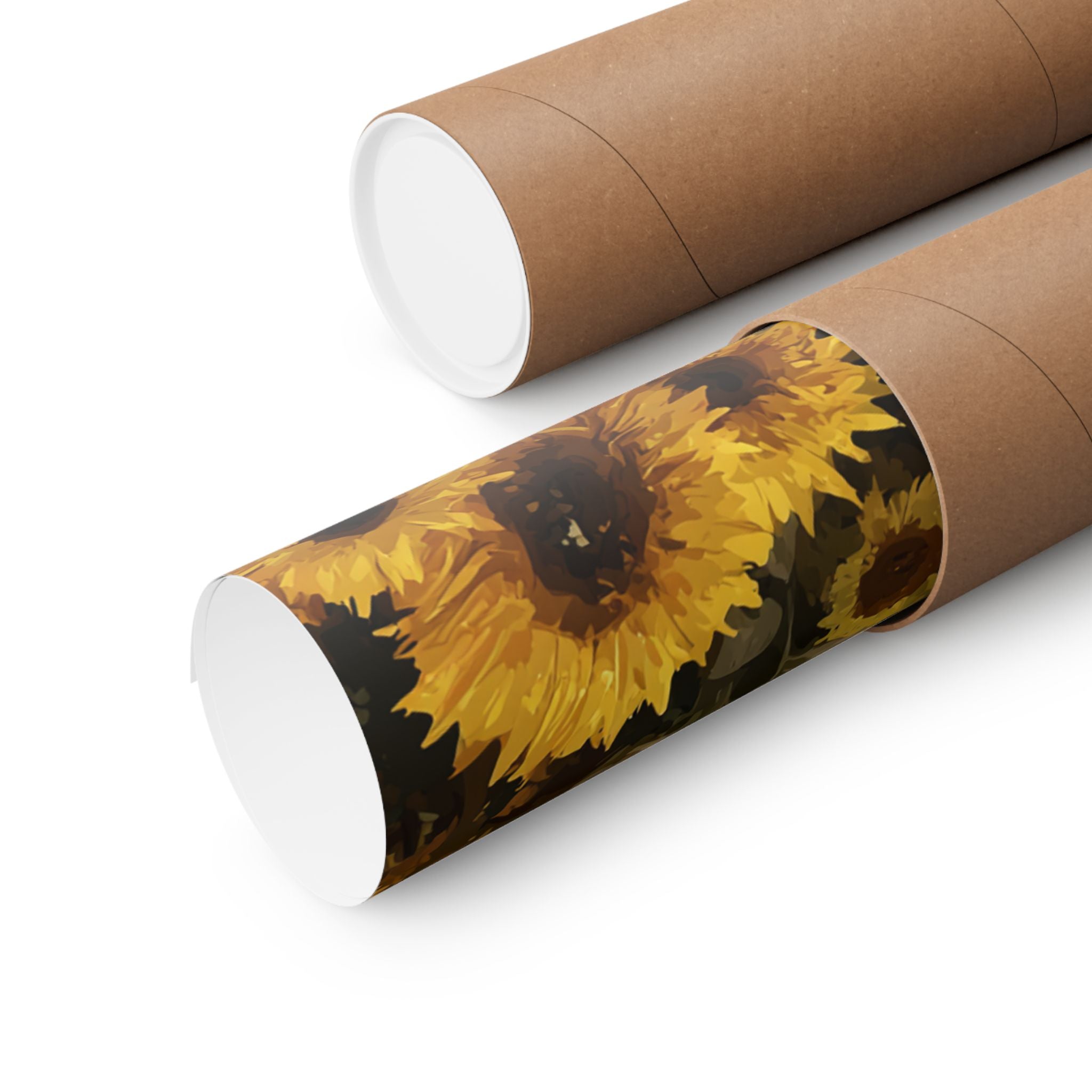 Ragdoll 3- Sunflower Season Collection