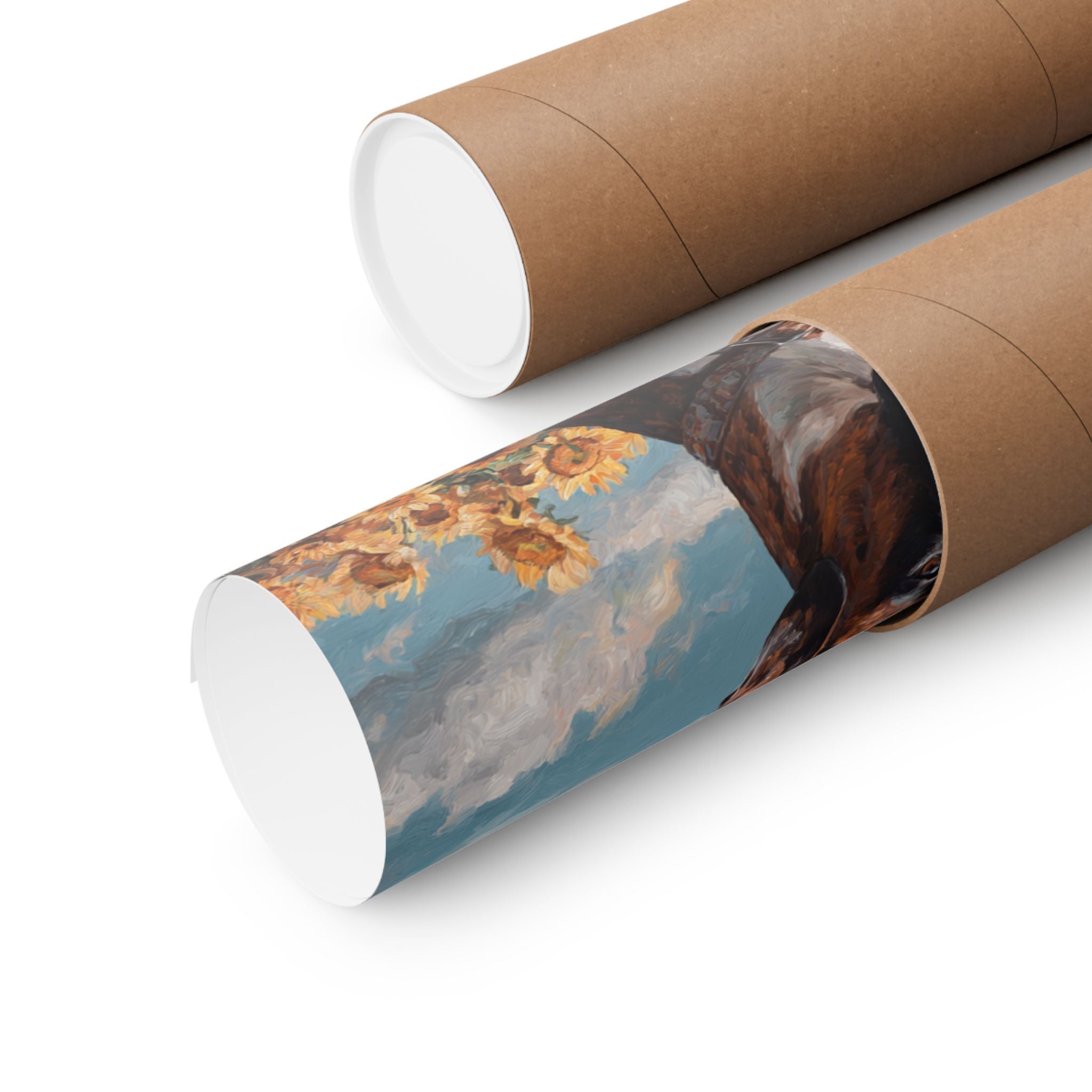 Boxer 4- Sunflower Season Collection