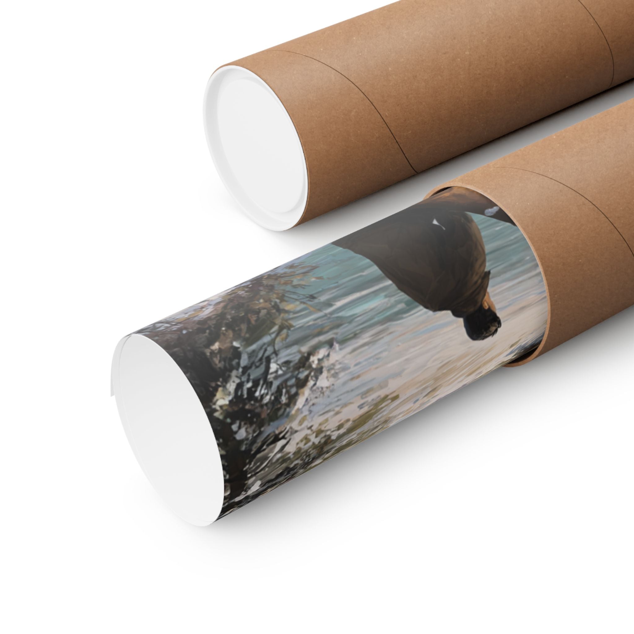 Boxer 2- Winter Whiskers Collection