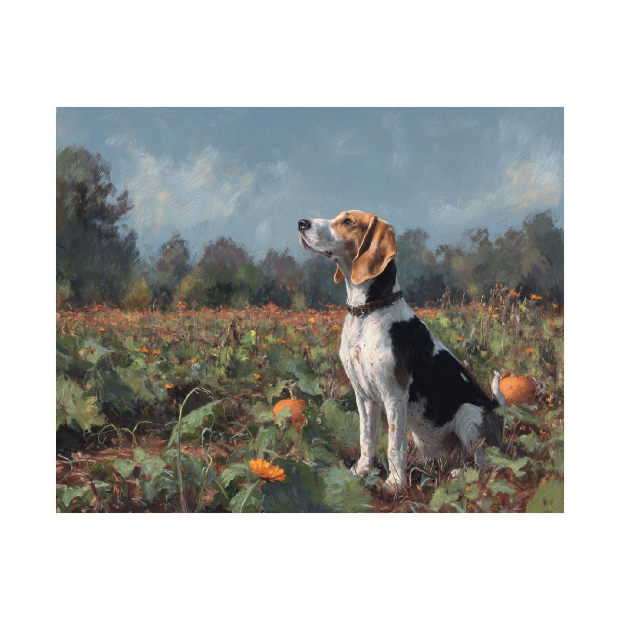 Hound Dog 7- Pumpkin Patch Collection