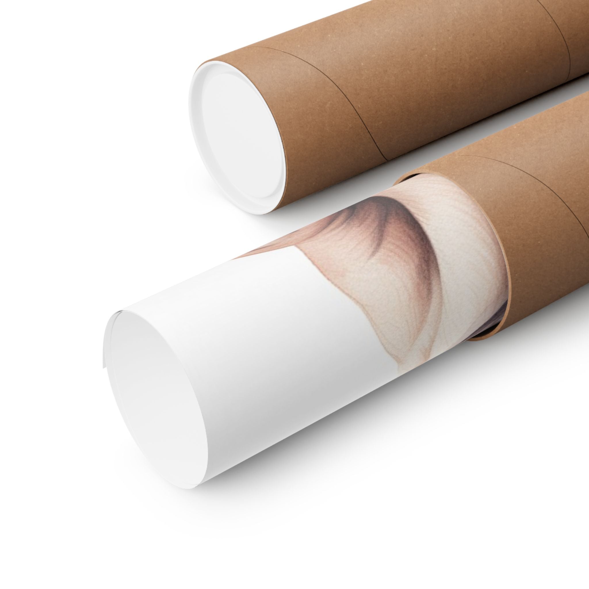 Pug 3- Bow Collection