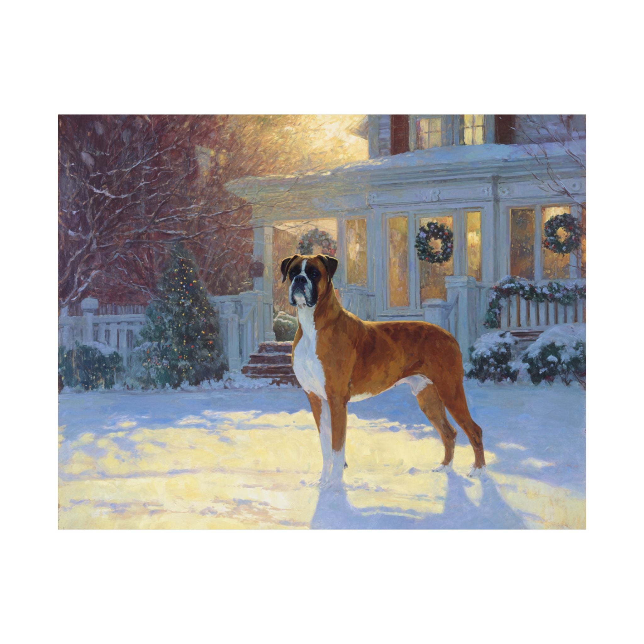 Boxer 7- Home for the Holidays Collection