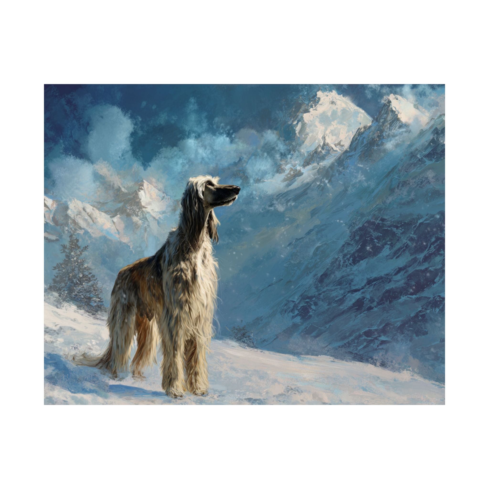 Afghan Hound 1- Winter Whiskers Collection