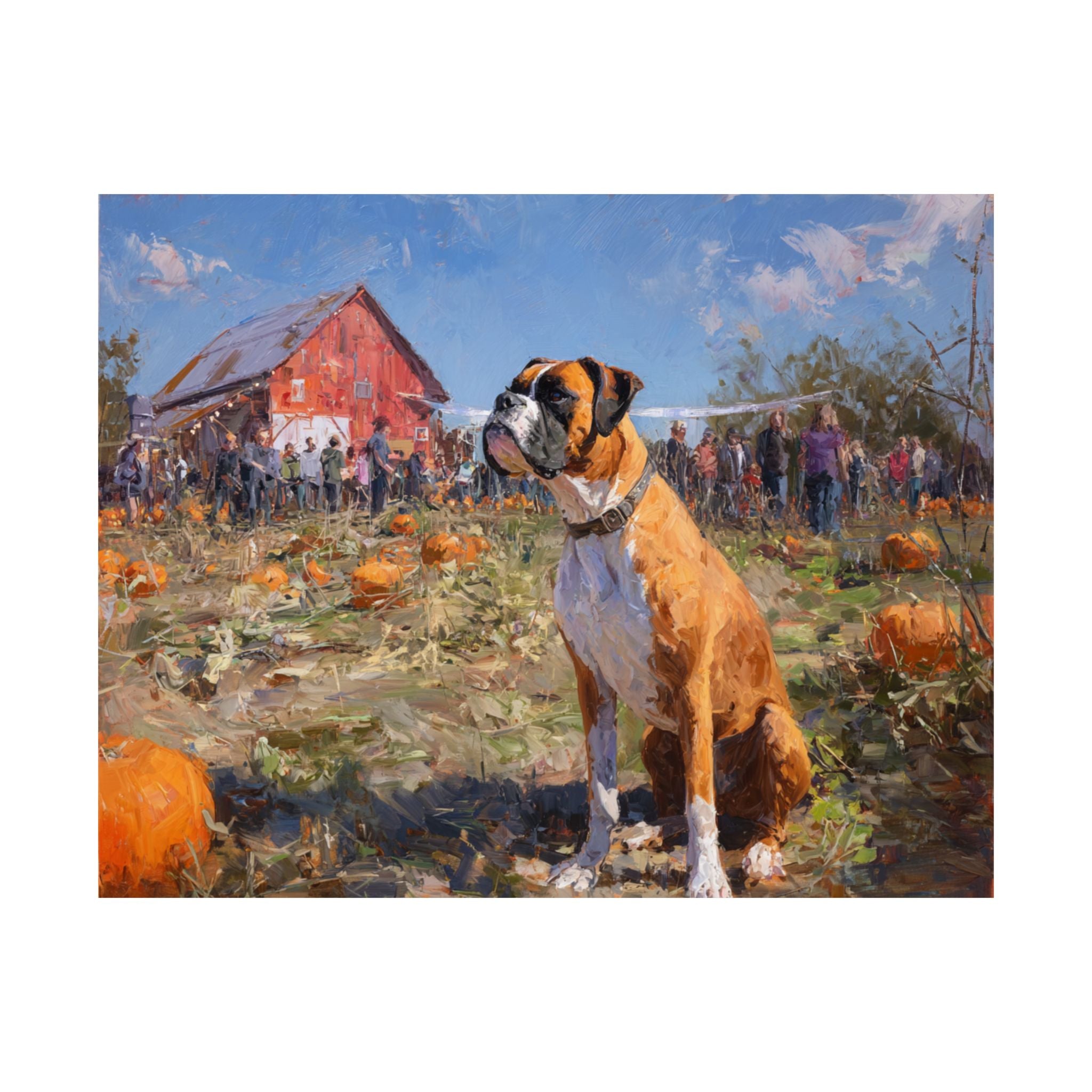 Boxer 1- Pumpkin Patch Collection
