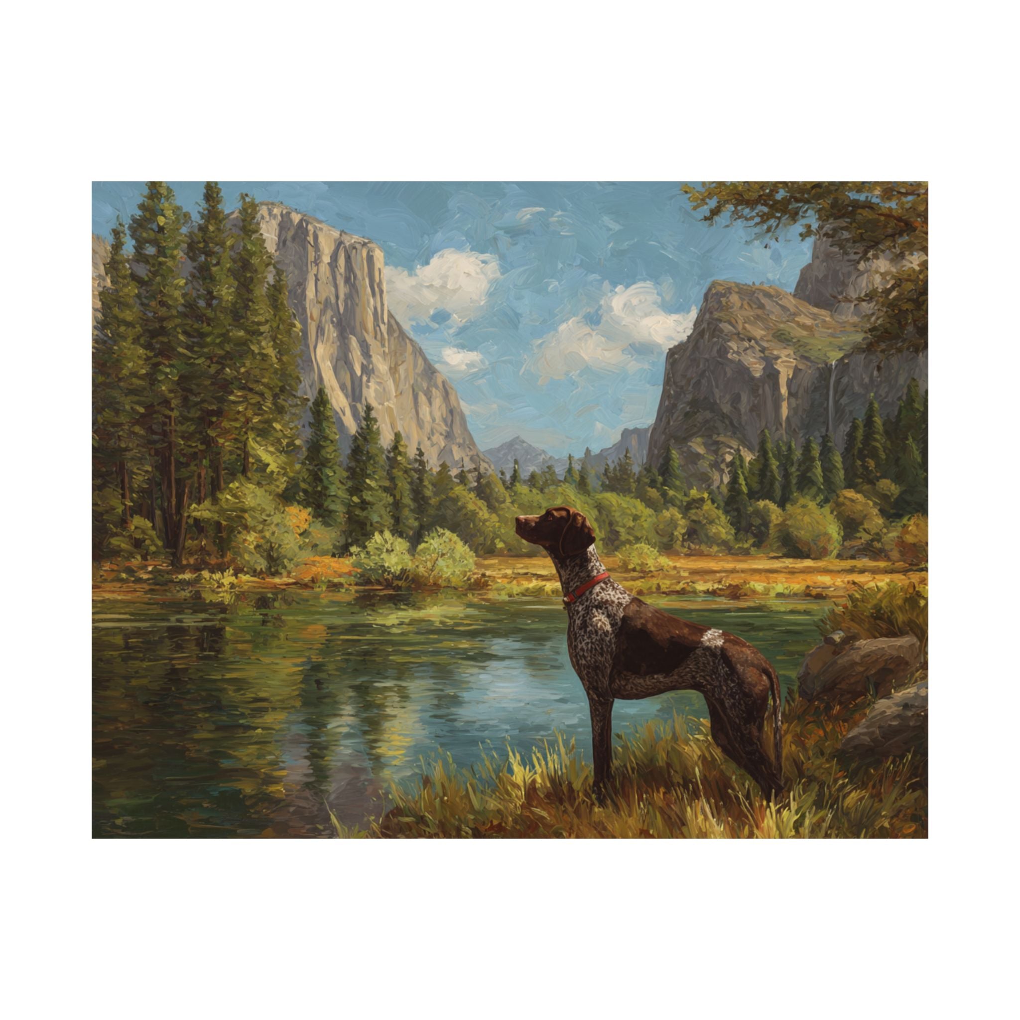 German Short Haired Pointer 1- Adventure Paws Collection