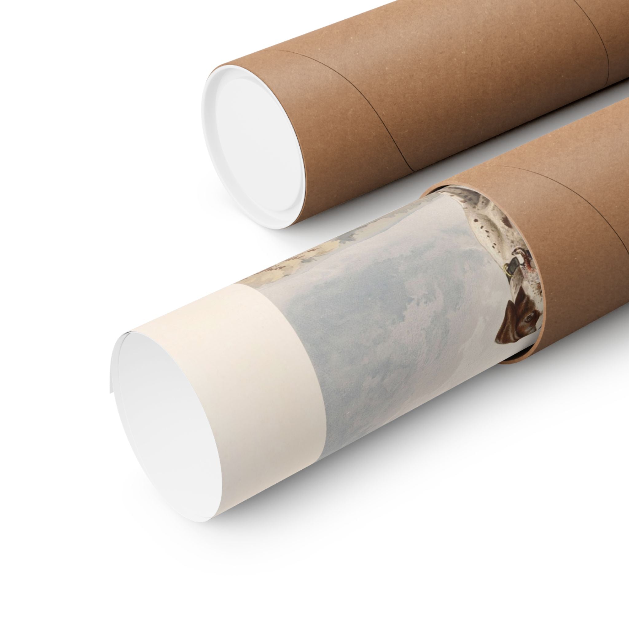 Native Pointer- Pope Collection