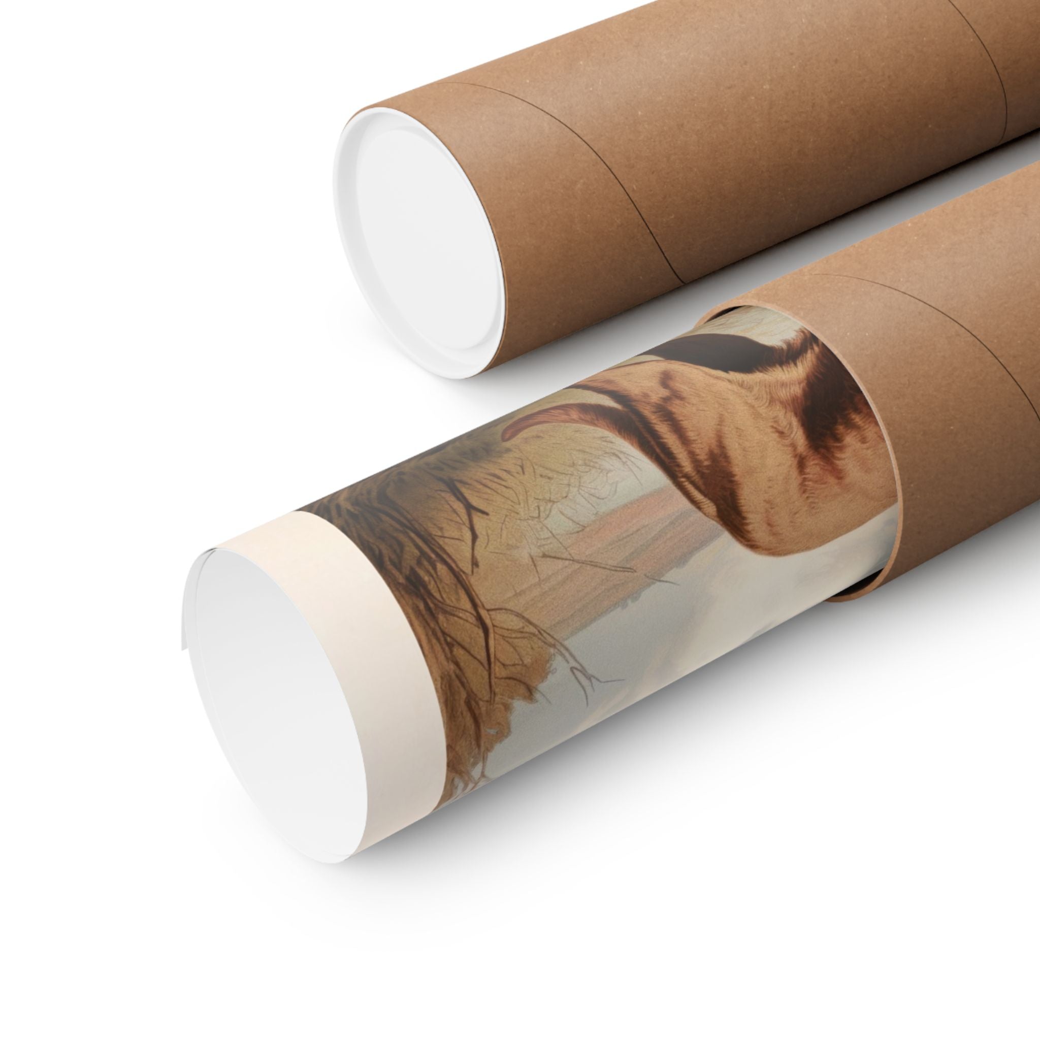 Chesapeake Retriever 2- CFA Edition