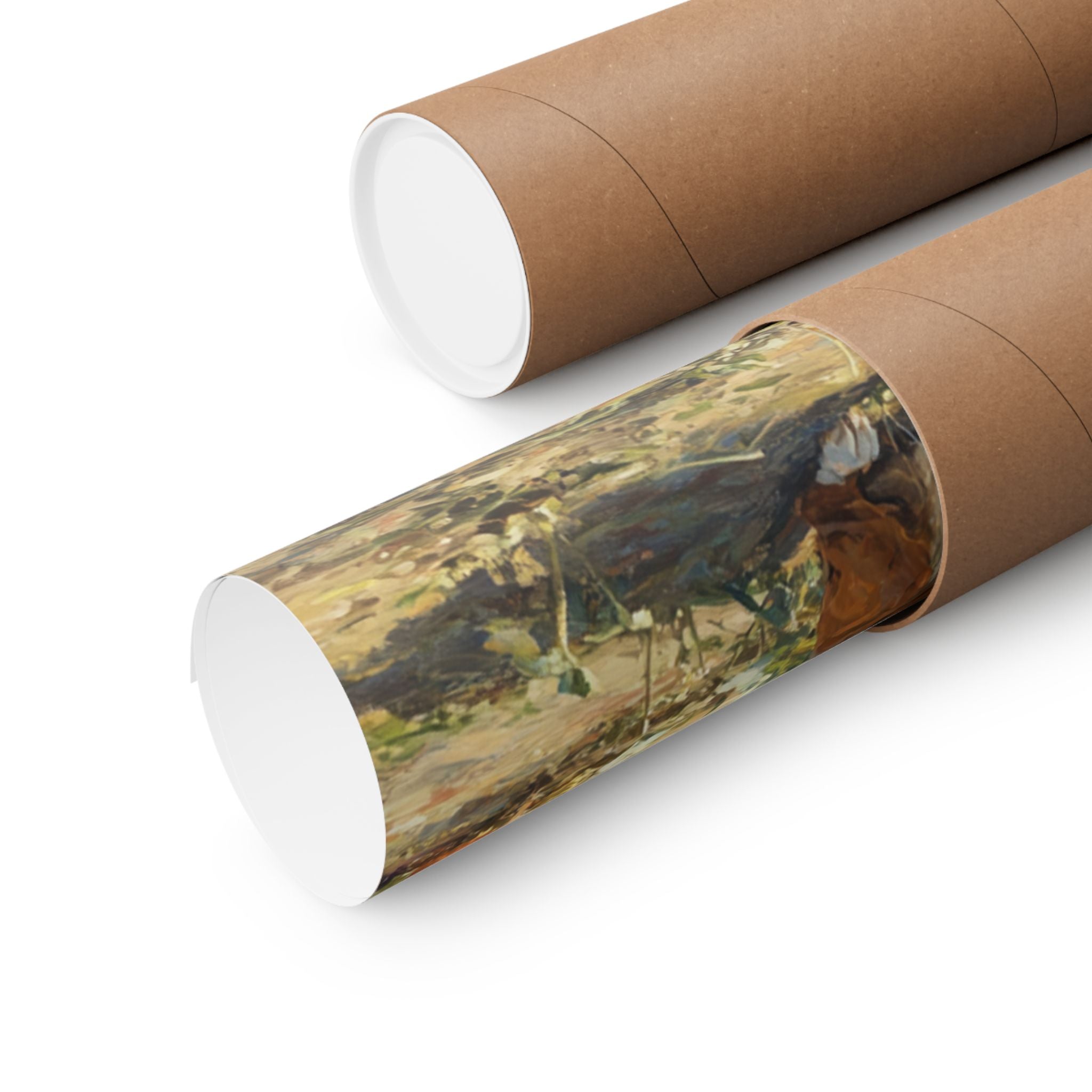 Boxer 6- Pumpkin Patch Collection