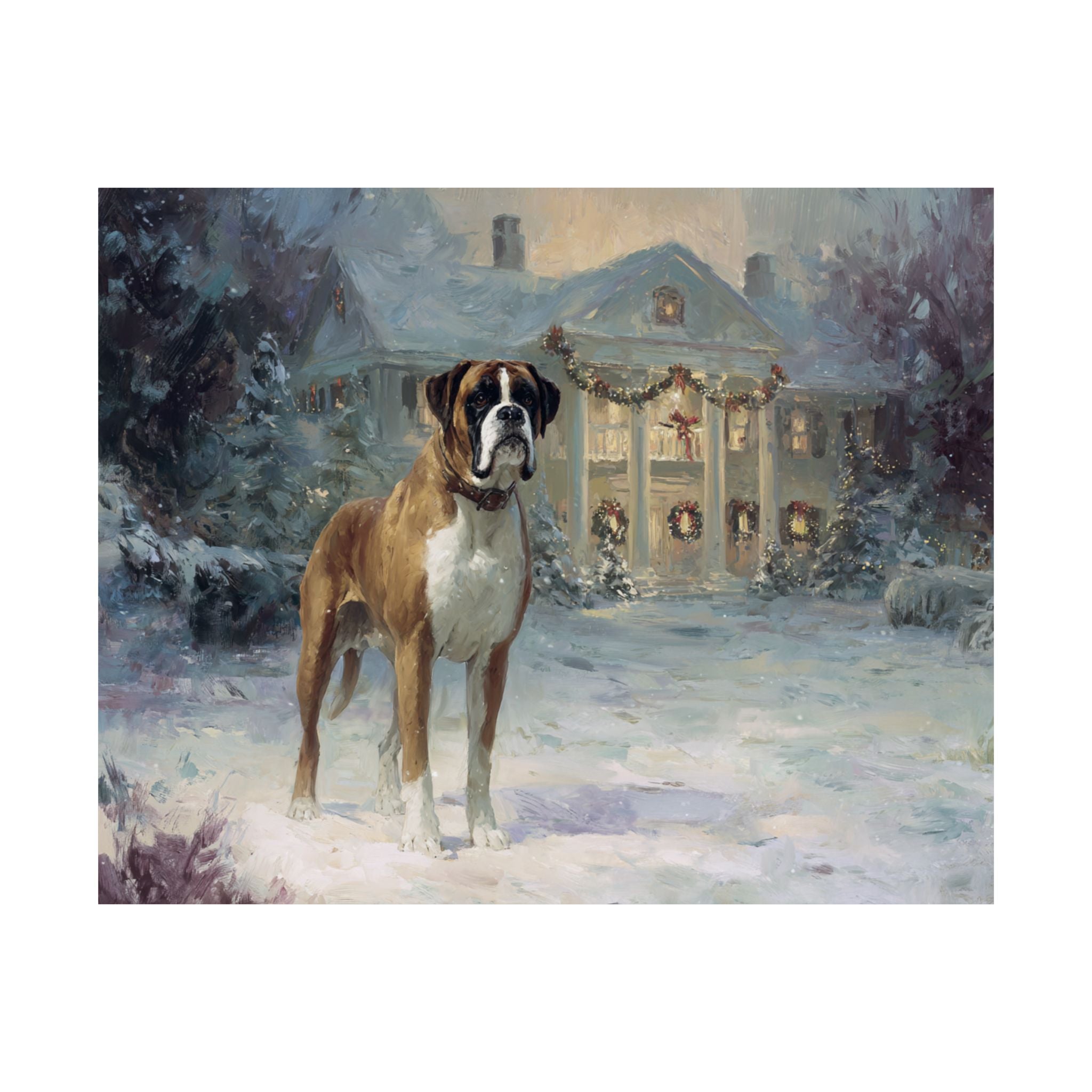 Boxer 2- Home for the Holidays Collection