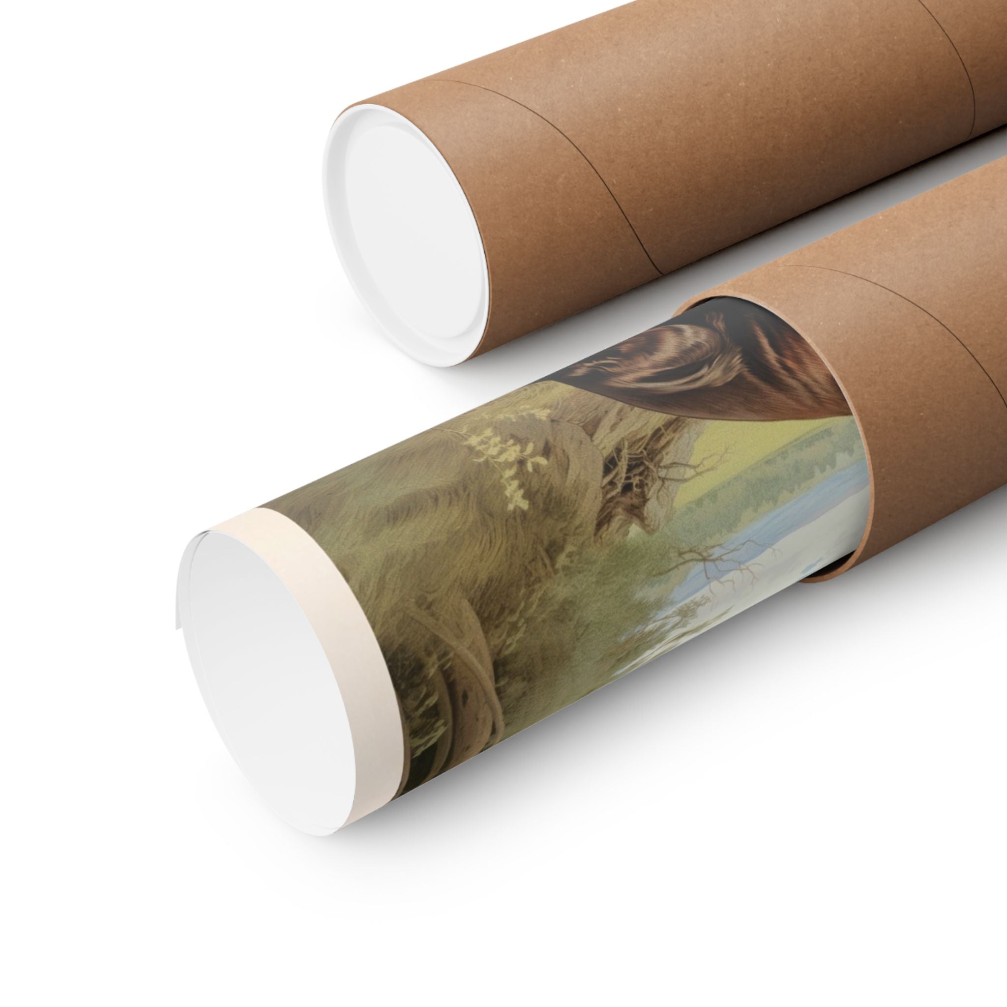 Labrador Retriever 4- CFA Edition