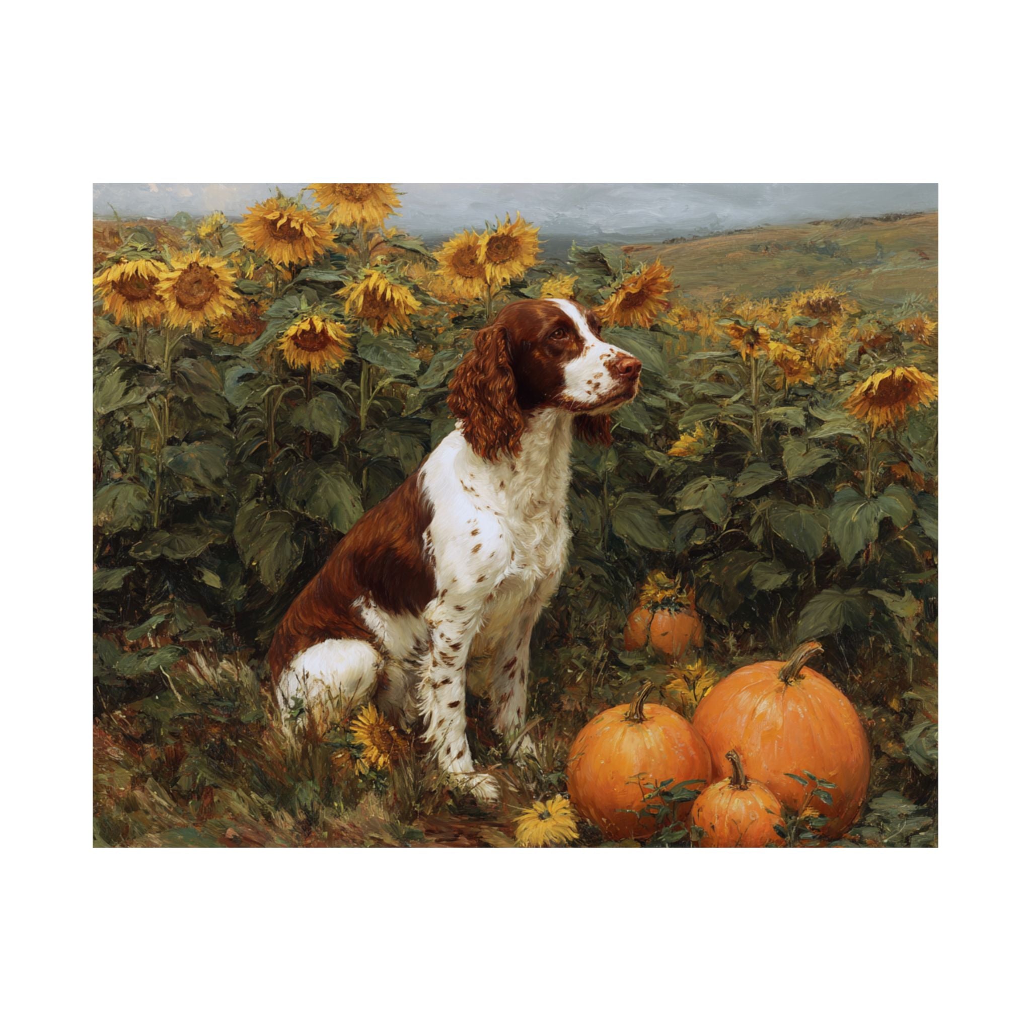 Springer Spaniel 5- Sunflower Season Collection