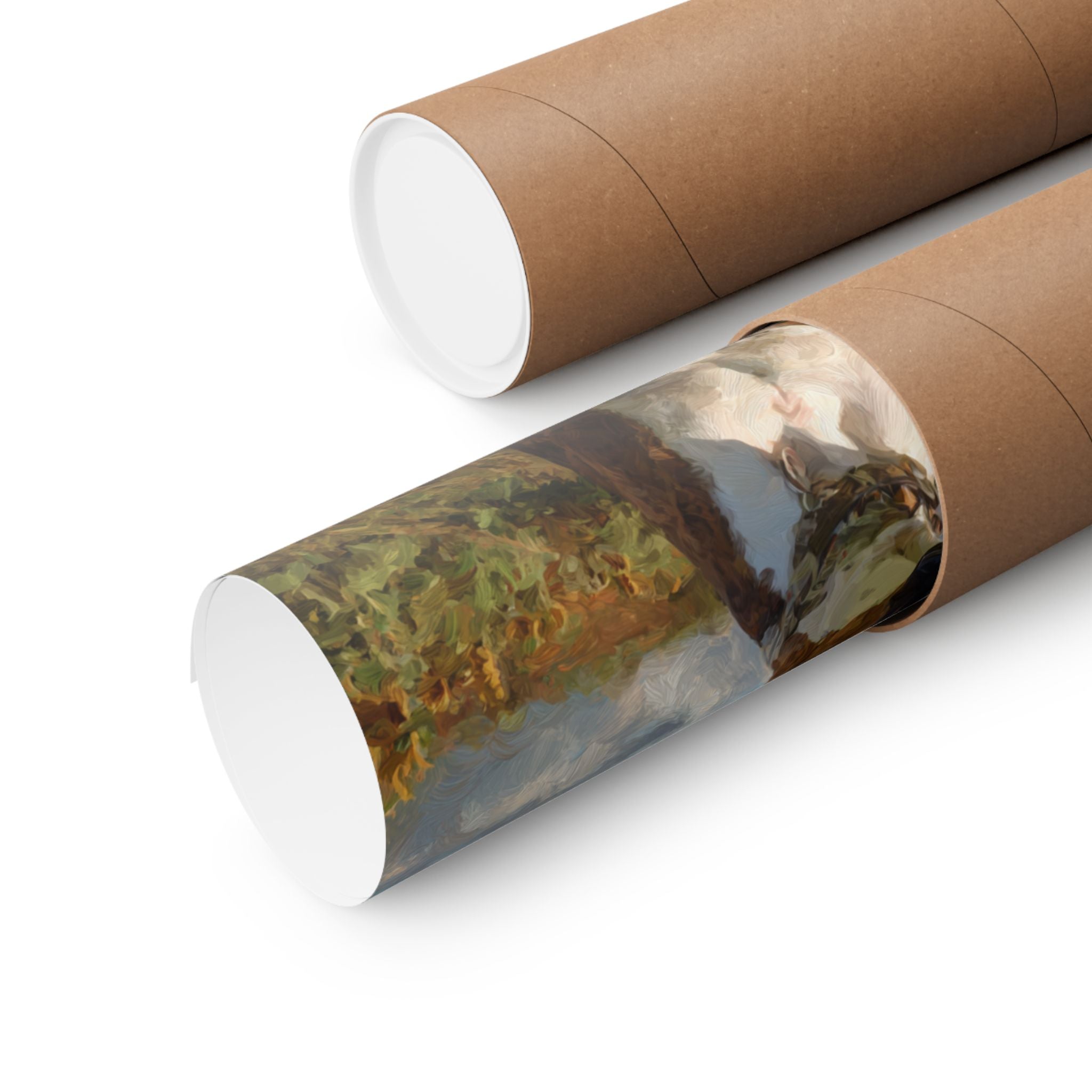 Boxer 5- Sunflower Season Collection