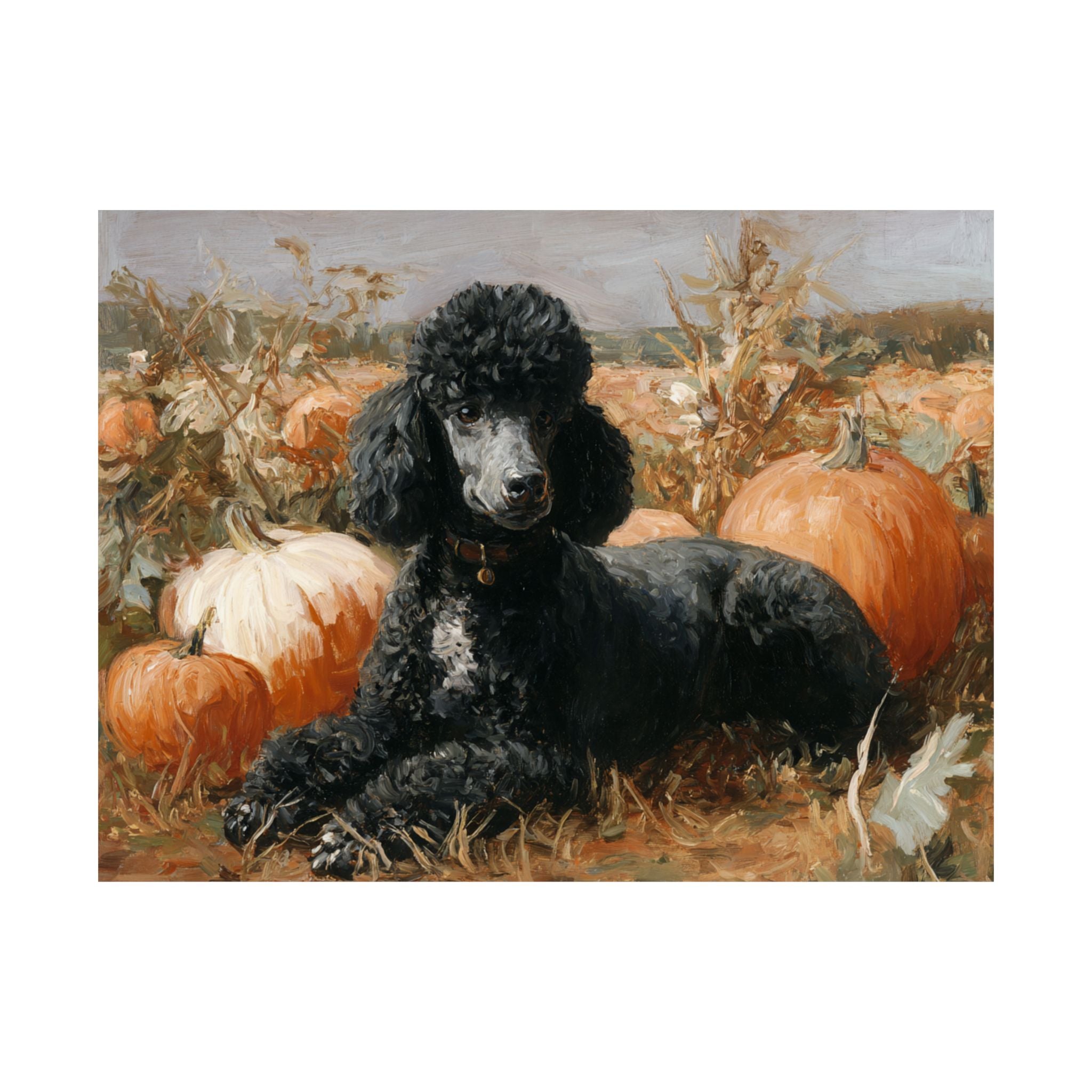 Poodle 4- Pumpkin Patch Collection
