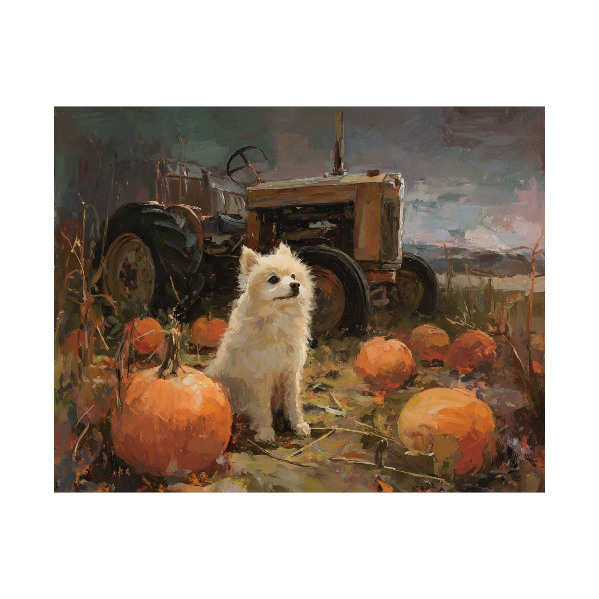 Pomeranian 2- Pumpkin Patch Collection