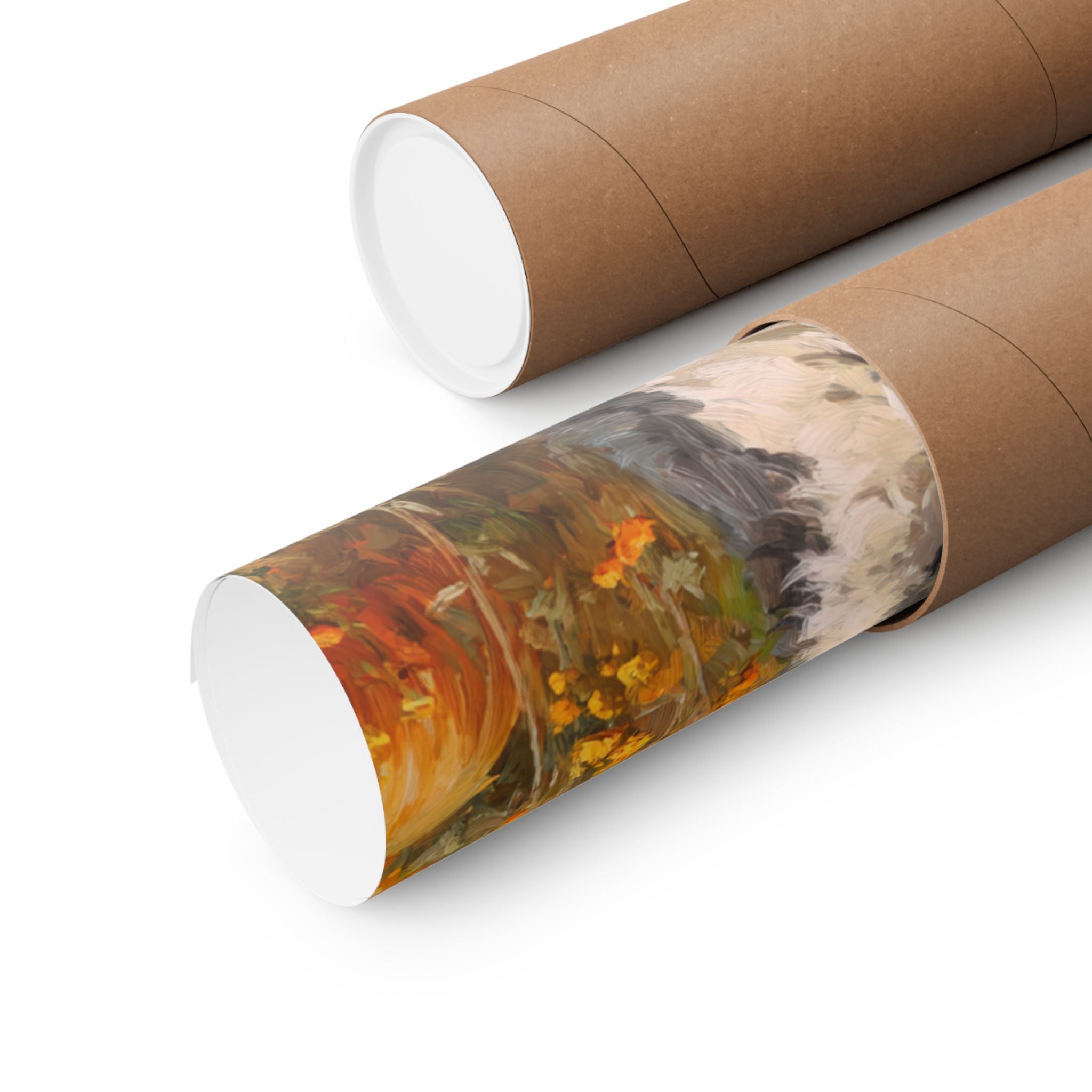 Aussiedoodle 2- Pumpkin Patch Collection