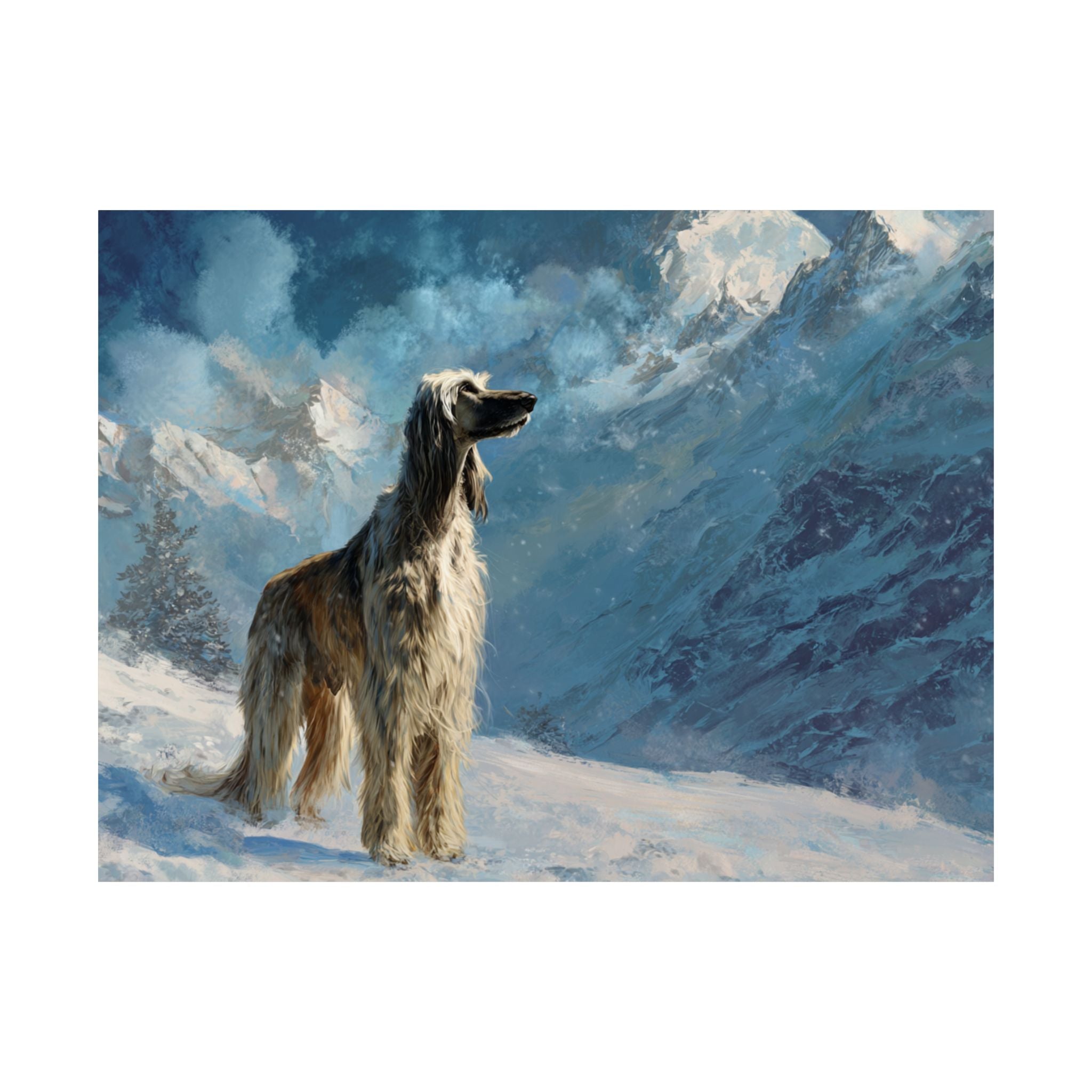 Afghan Hound 1- Winter Whiskers Collection