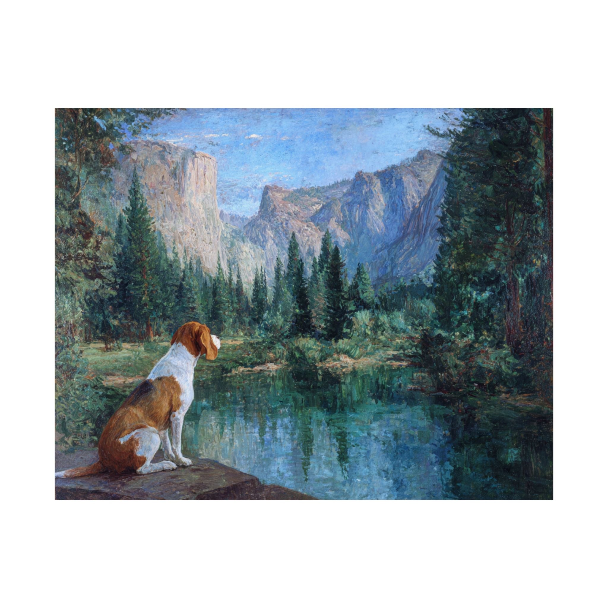 Beagle 3- Adventure Paws Collection