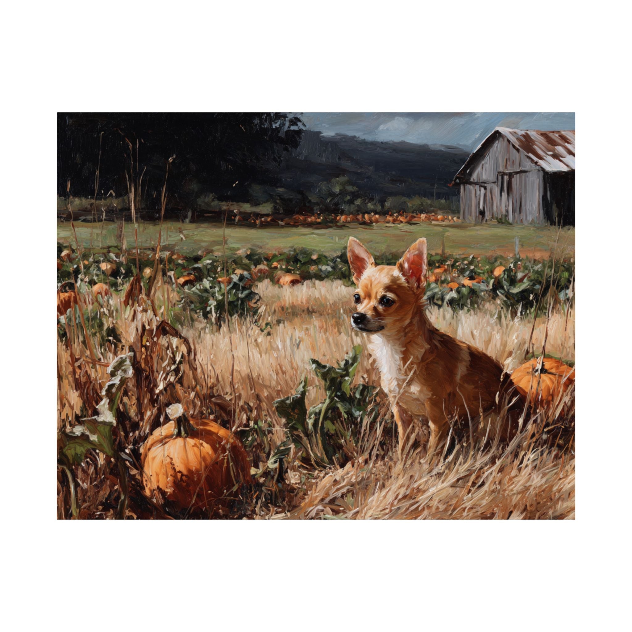 Chihuahua 1- Pumpkin Patch Collection