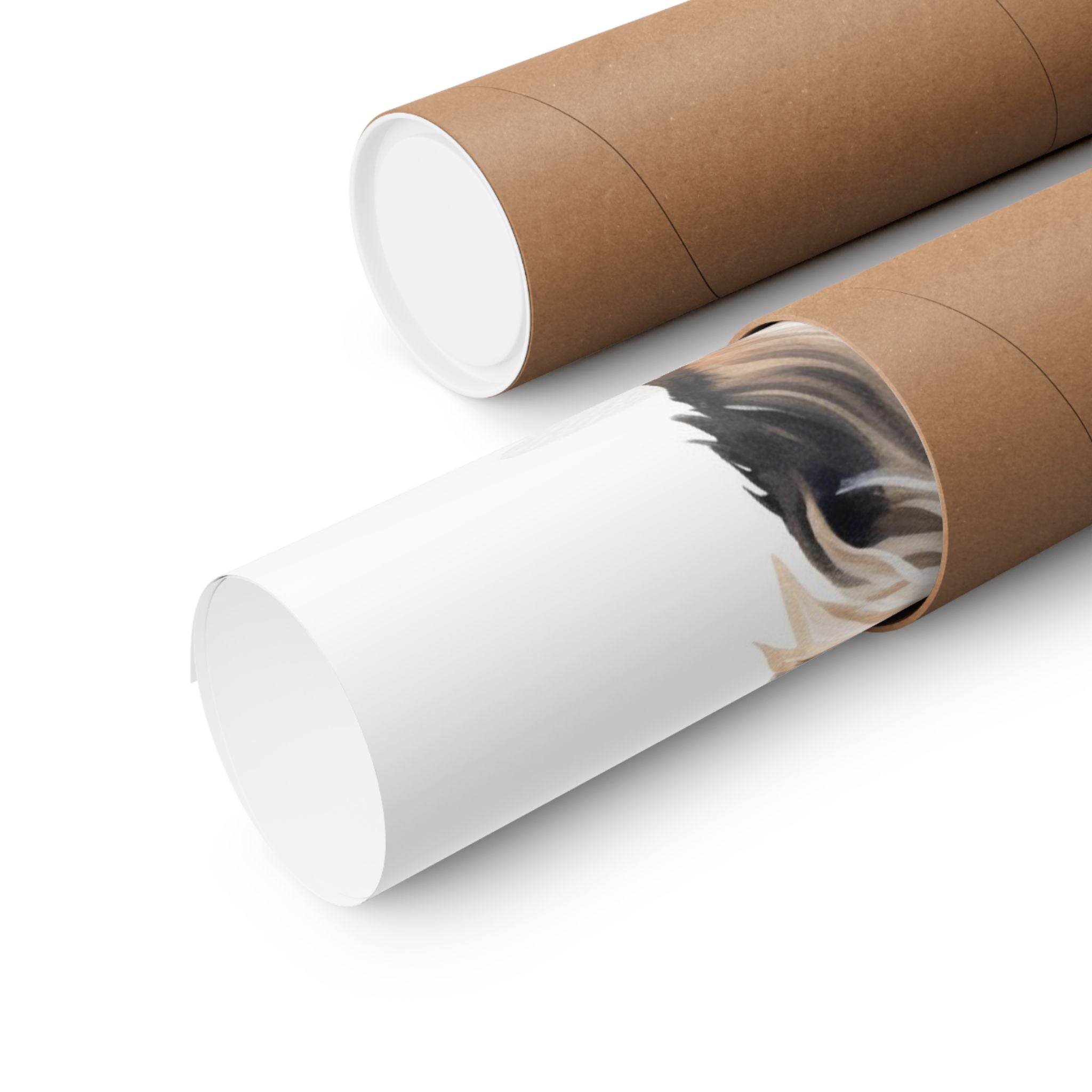 Yorkshire Terrier 4- Bow Collection