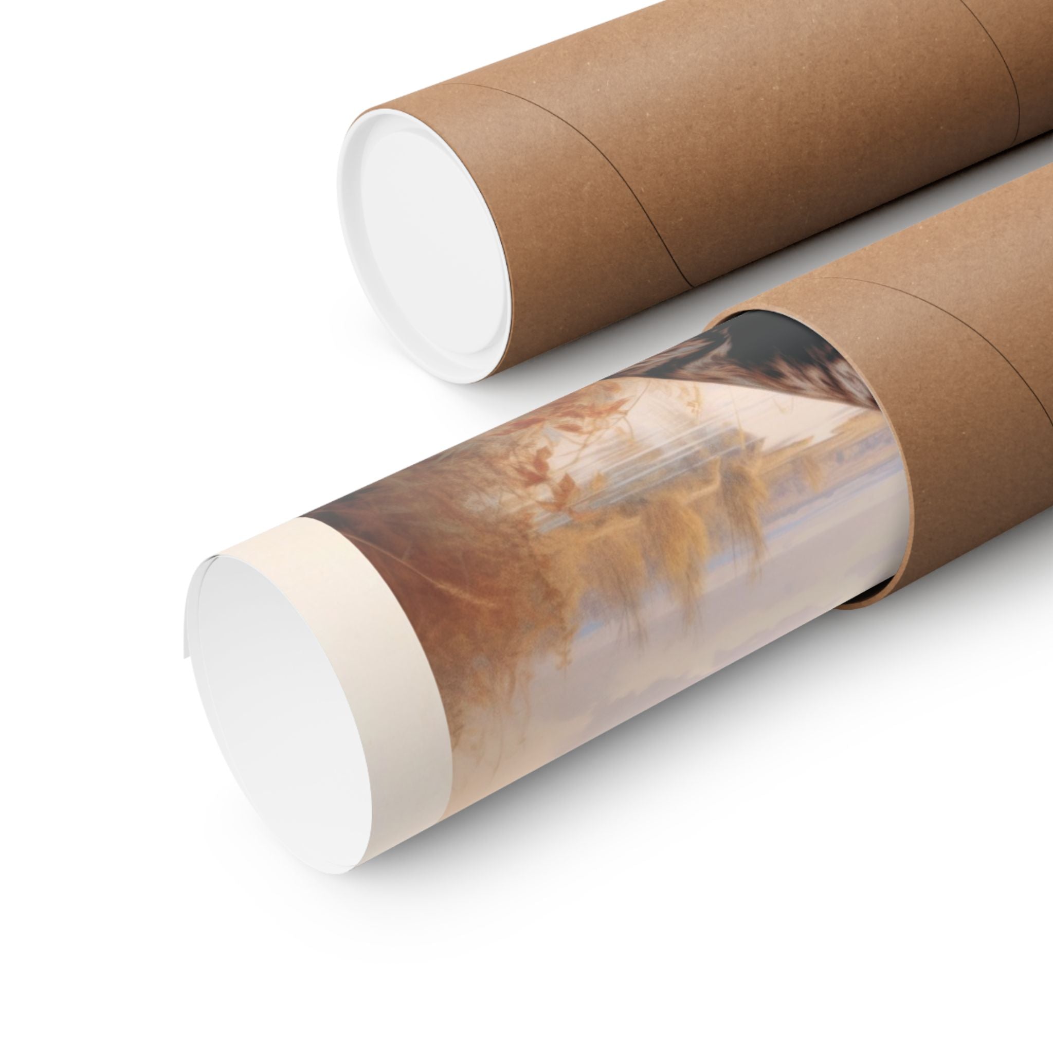 Boykin Spaniel 1- CFA Edition