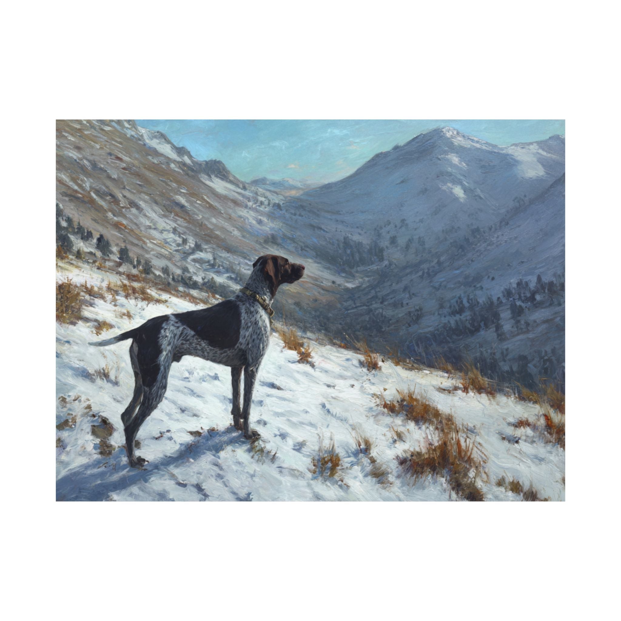 German Short Haired Pointer 4- Adventure Paws Collection