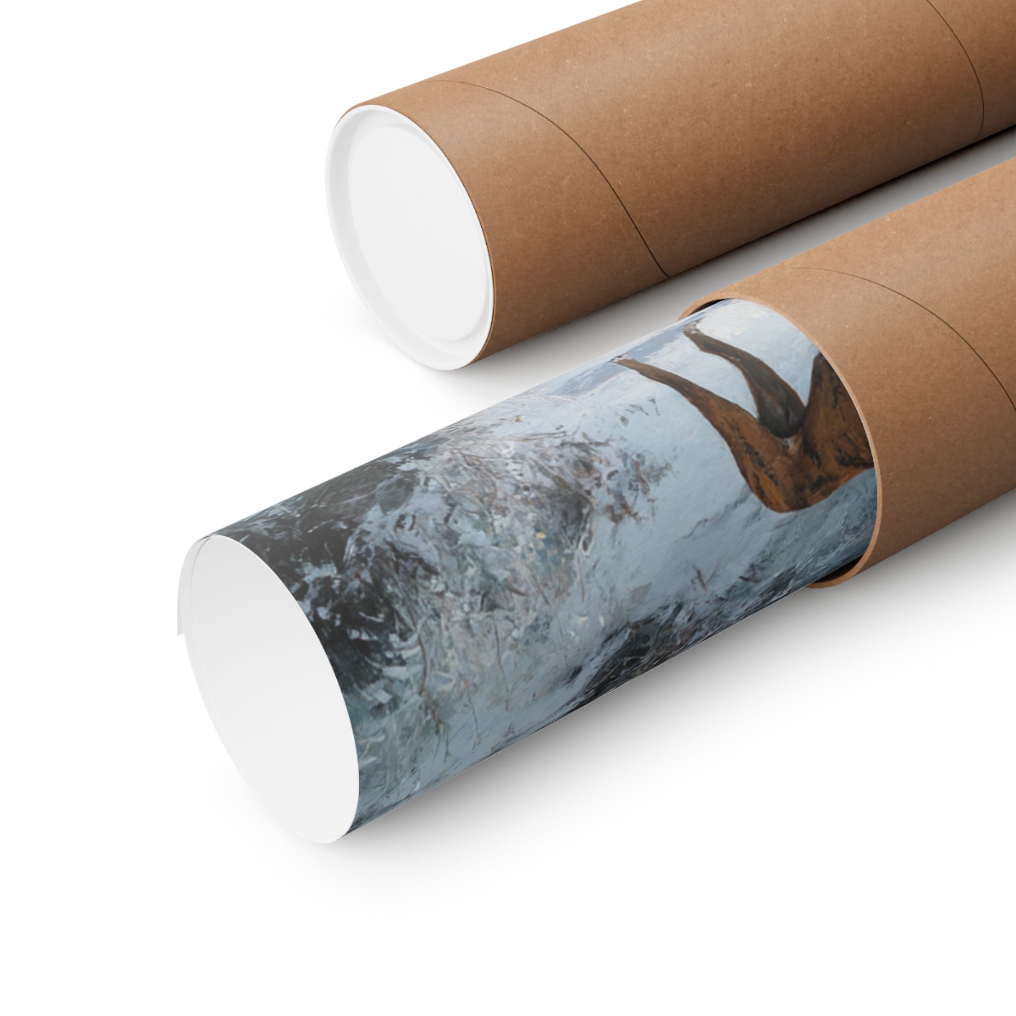 Boxer 3- Winter Whiskers Collection