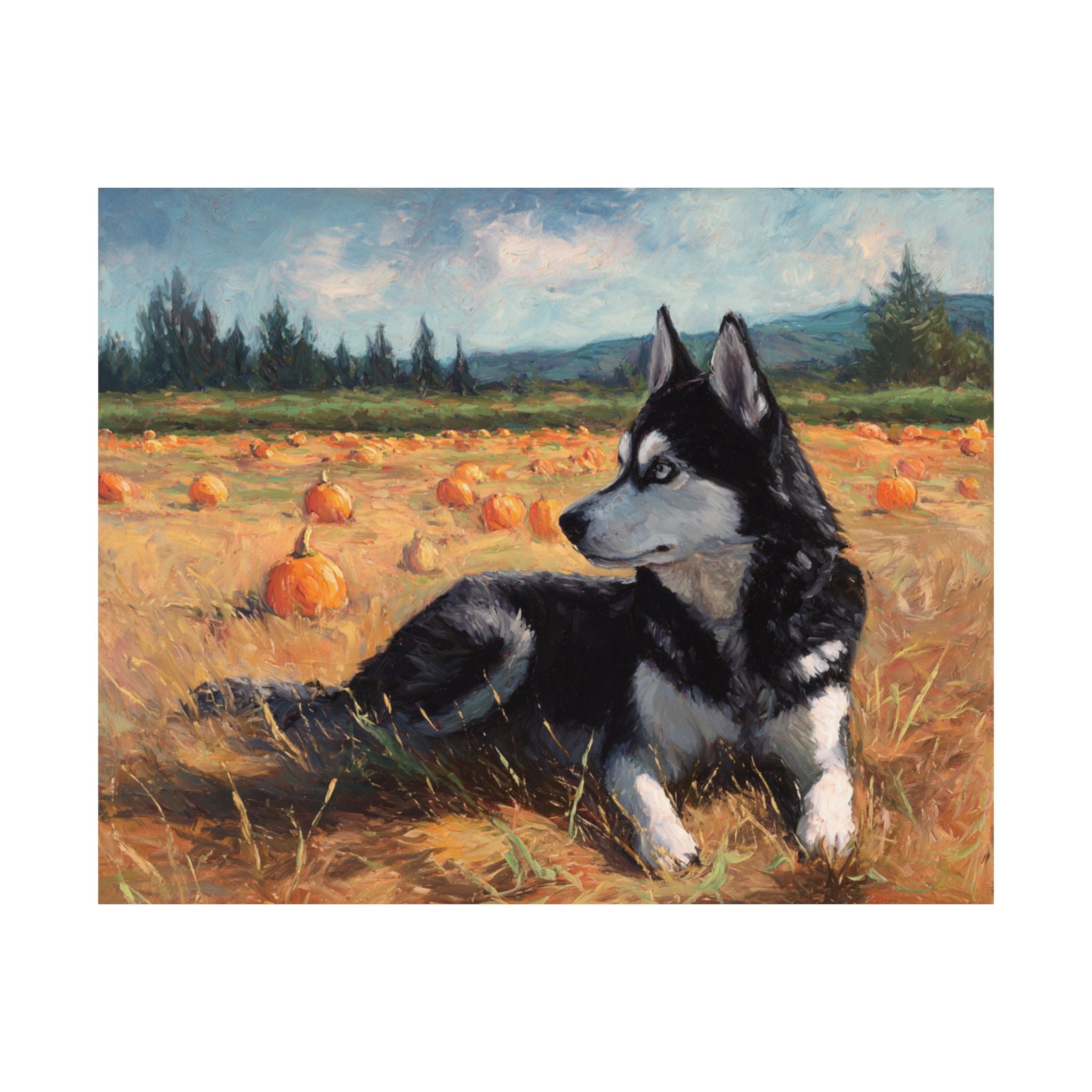 Husky 1- Pumpkin Patch Collection