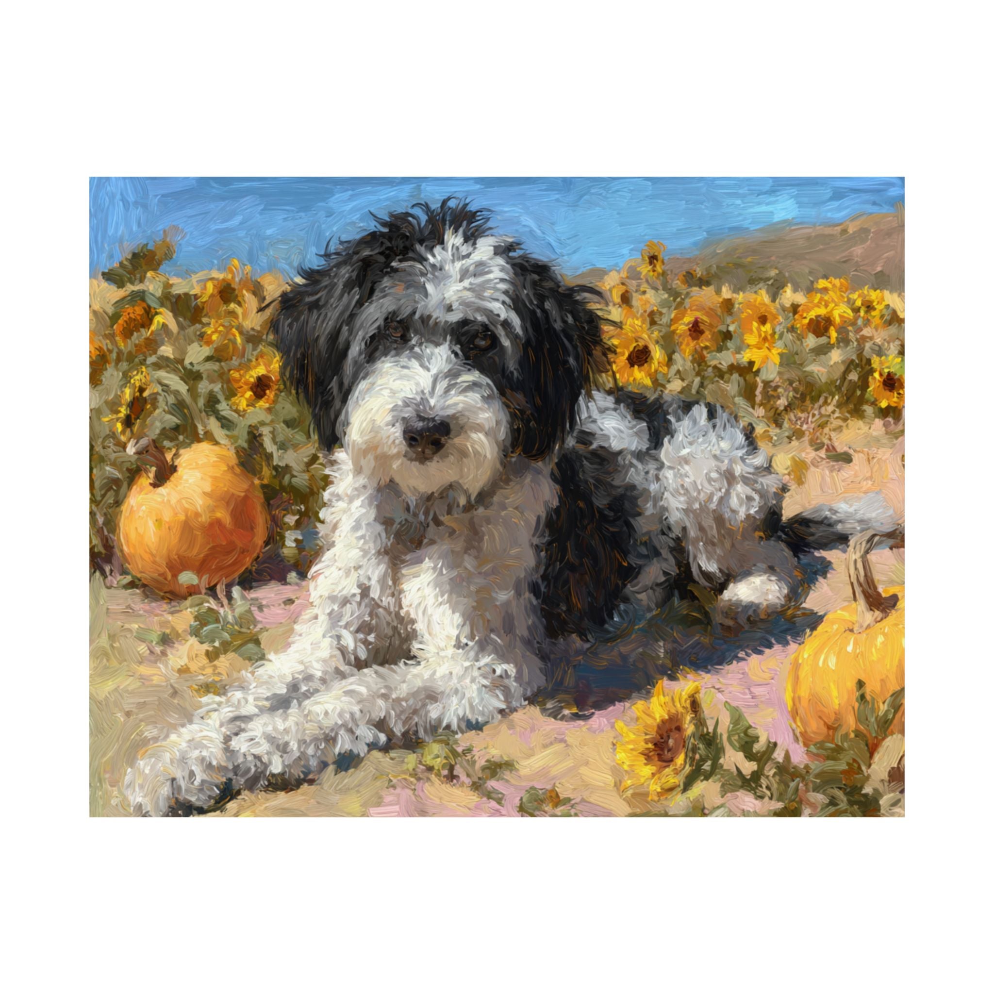 Aussiedoodle 3- Sunflower Season Collection