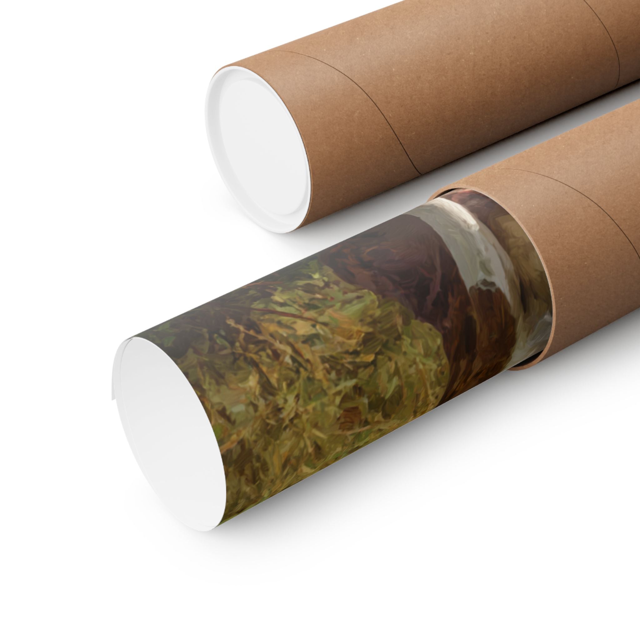 Boxer 5- Sunflower Season Collection