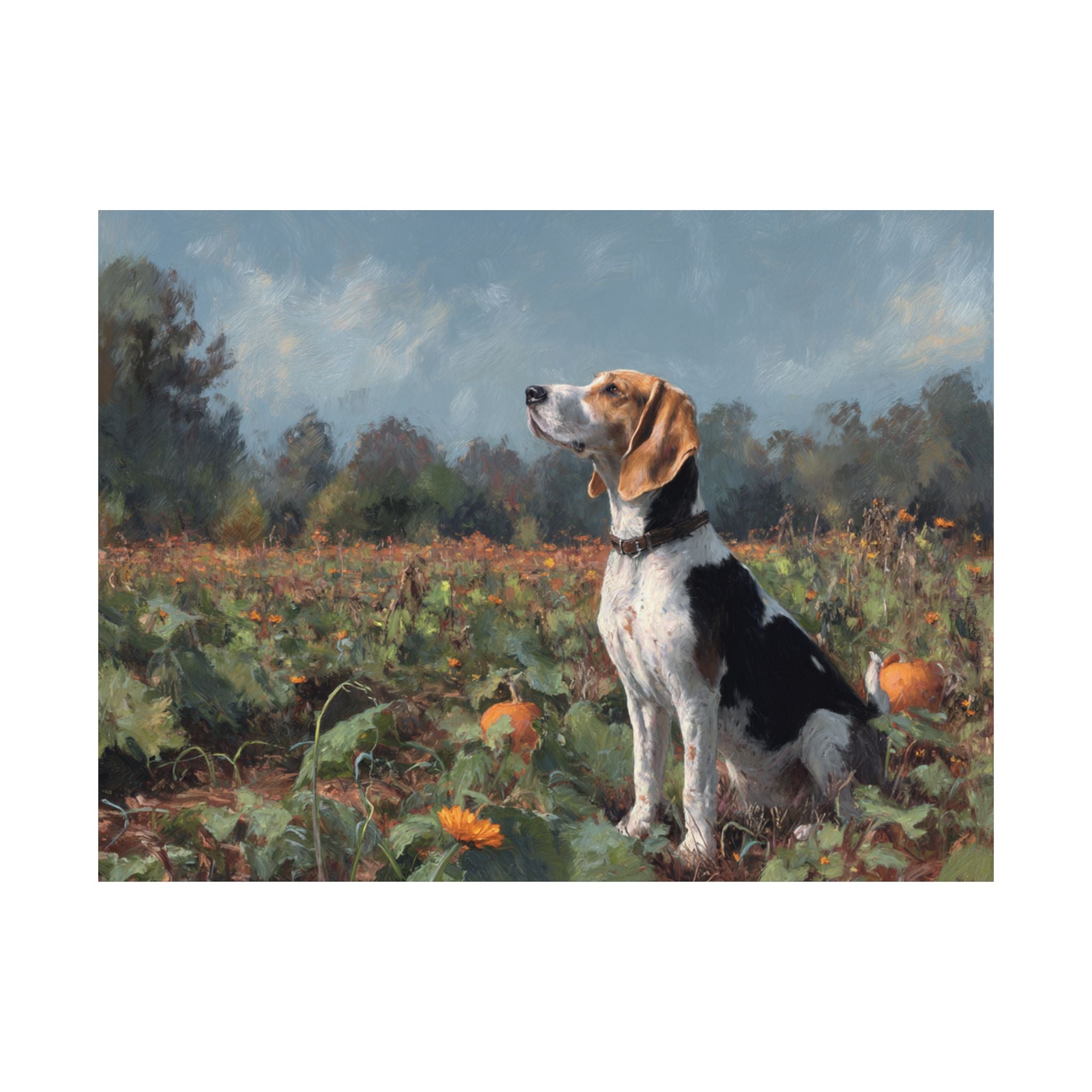 Hound Dog 7- Pumpkin Patch Collection
