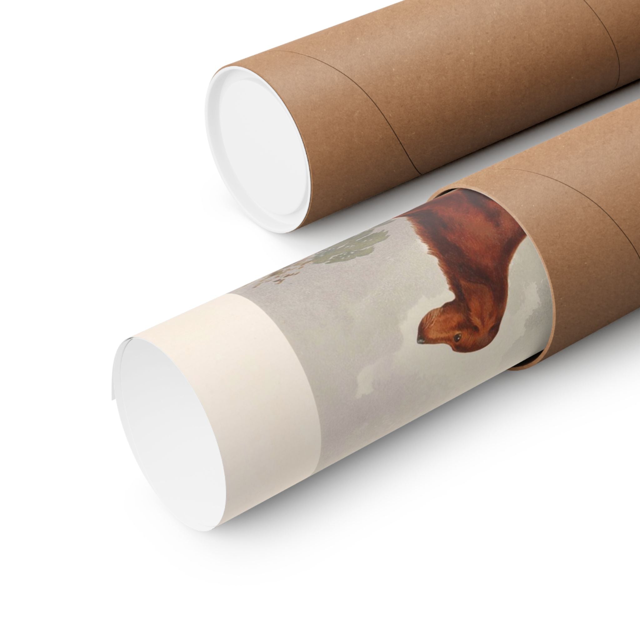 Red Irish Setter- Pope Collection